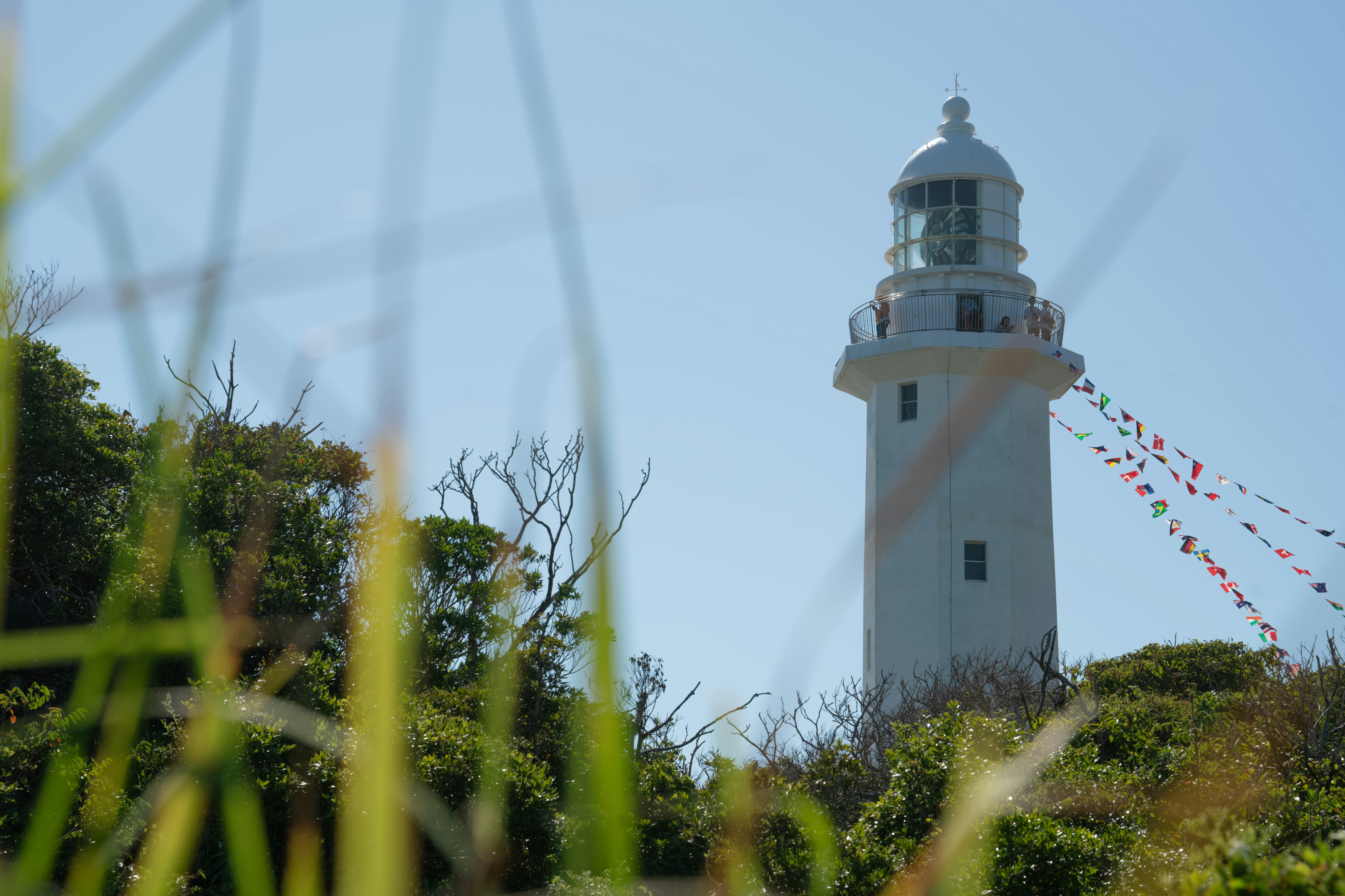 Photo by da_shika_photo