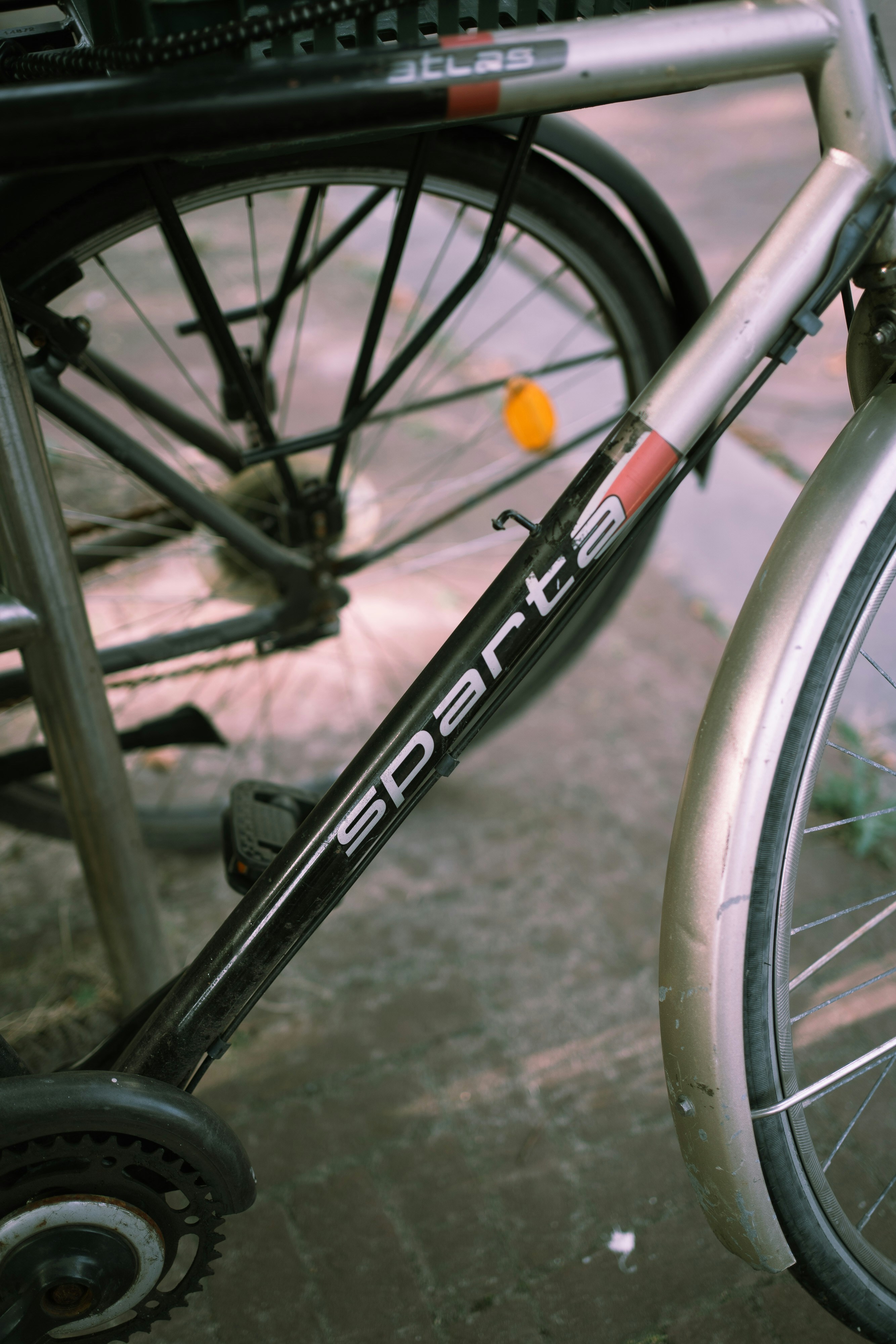 Photo by robert_lens