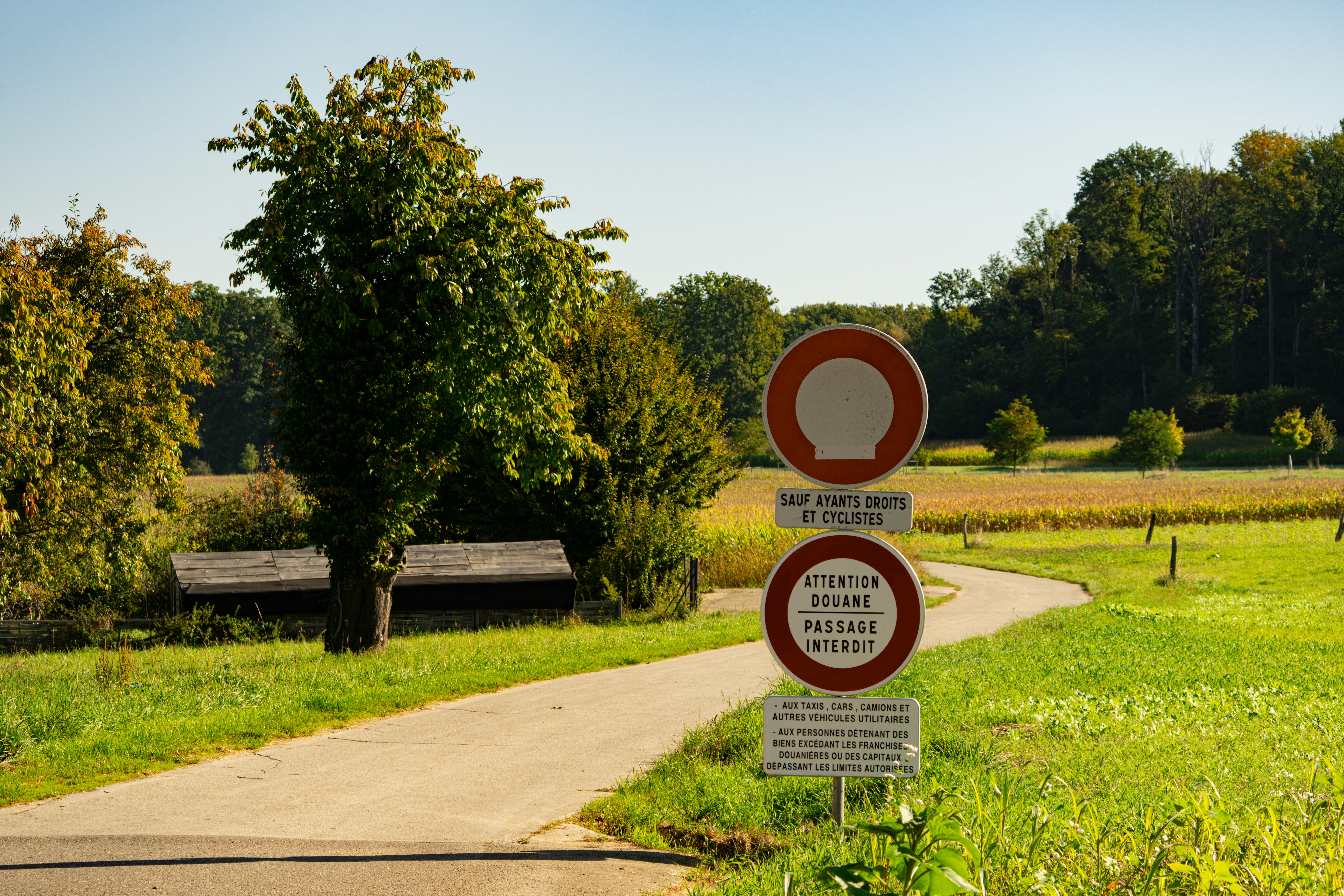 Rural road with customs signs