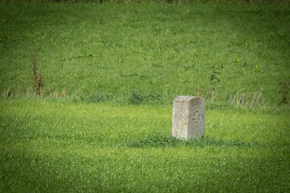 সবুজ মাঠে জমির সীমানা চিহ্নিতকারী খুঁটি