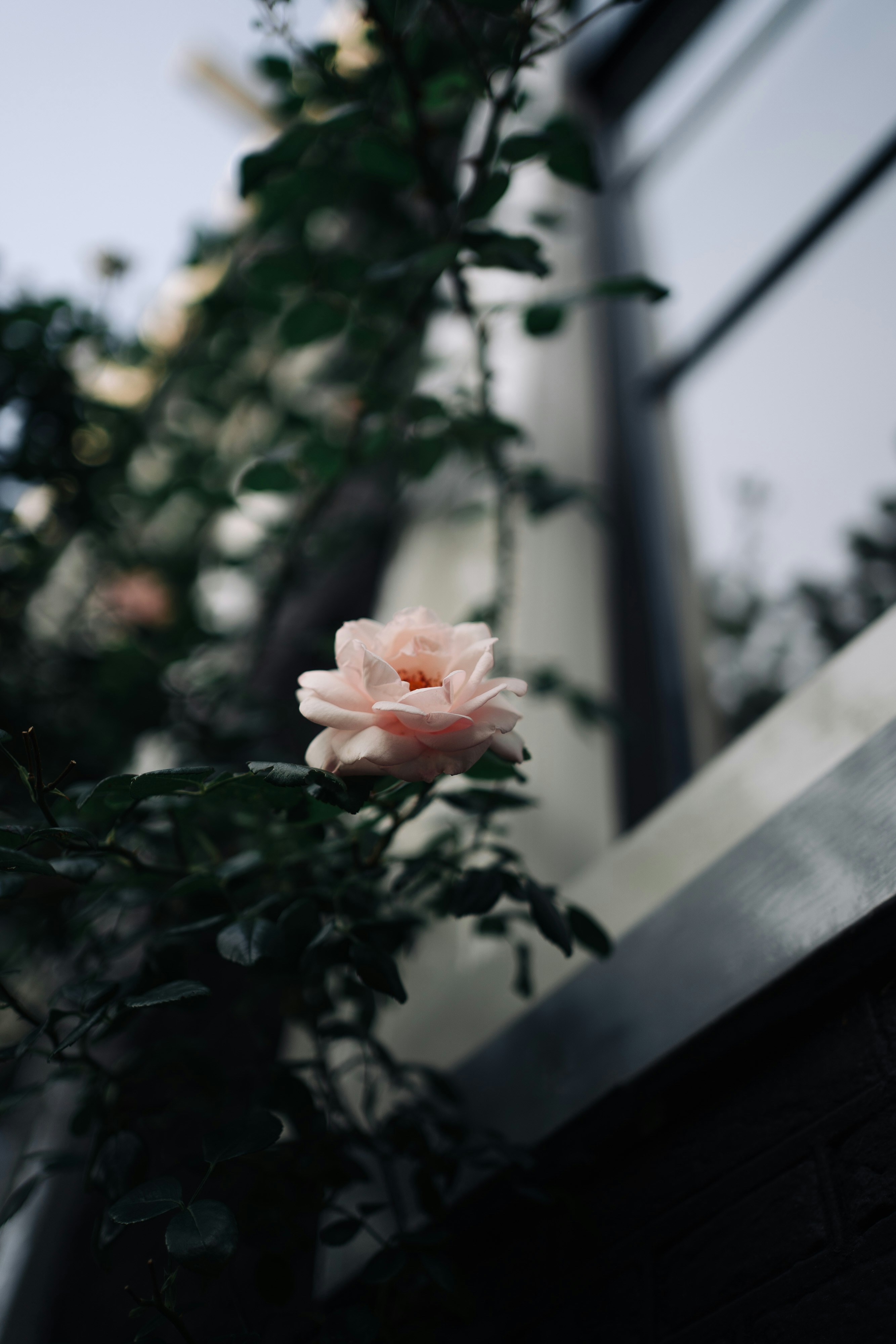 Photo by robert_lens