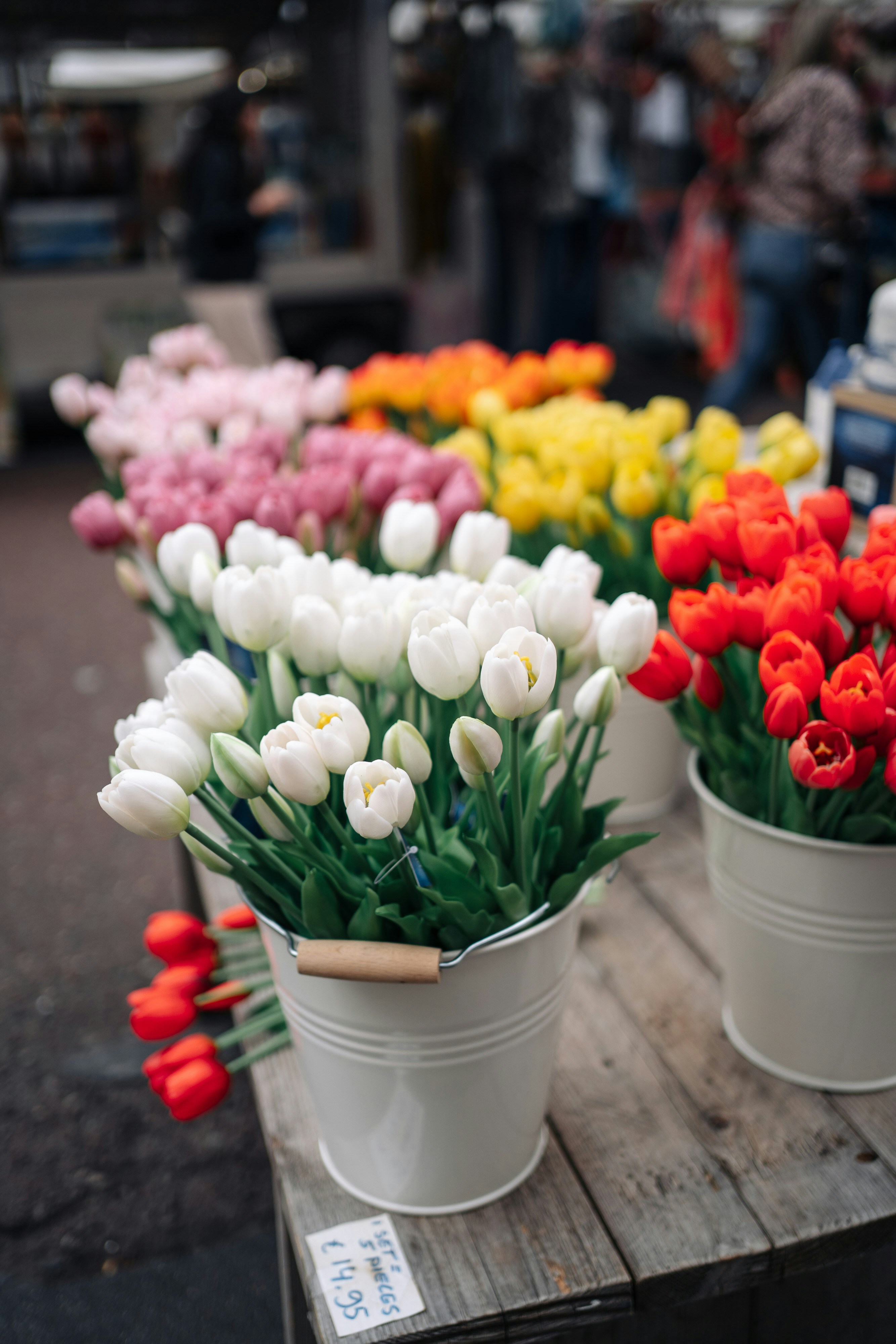 Photo by robert_lens