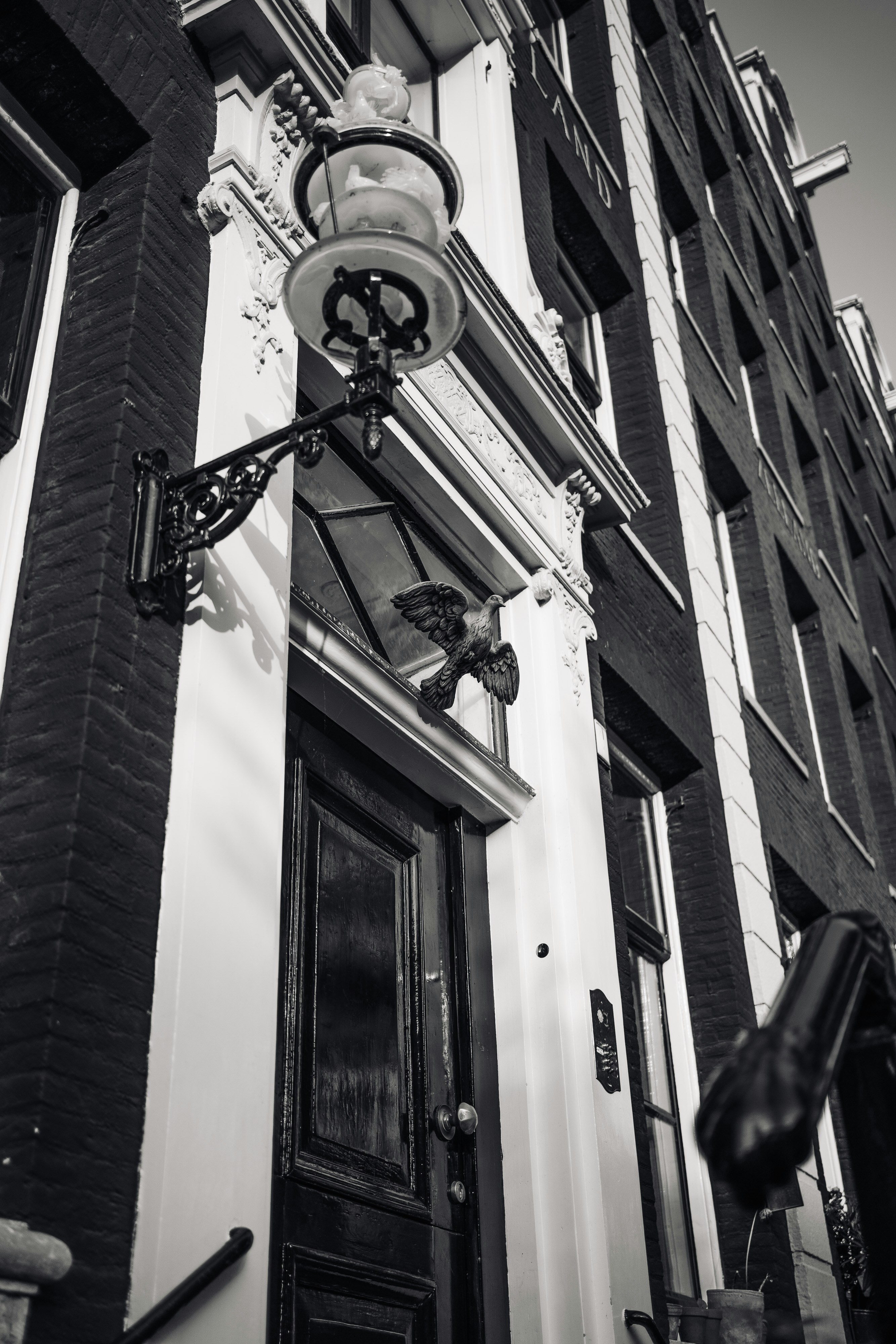 Photo by robert_lens