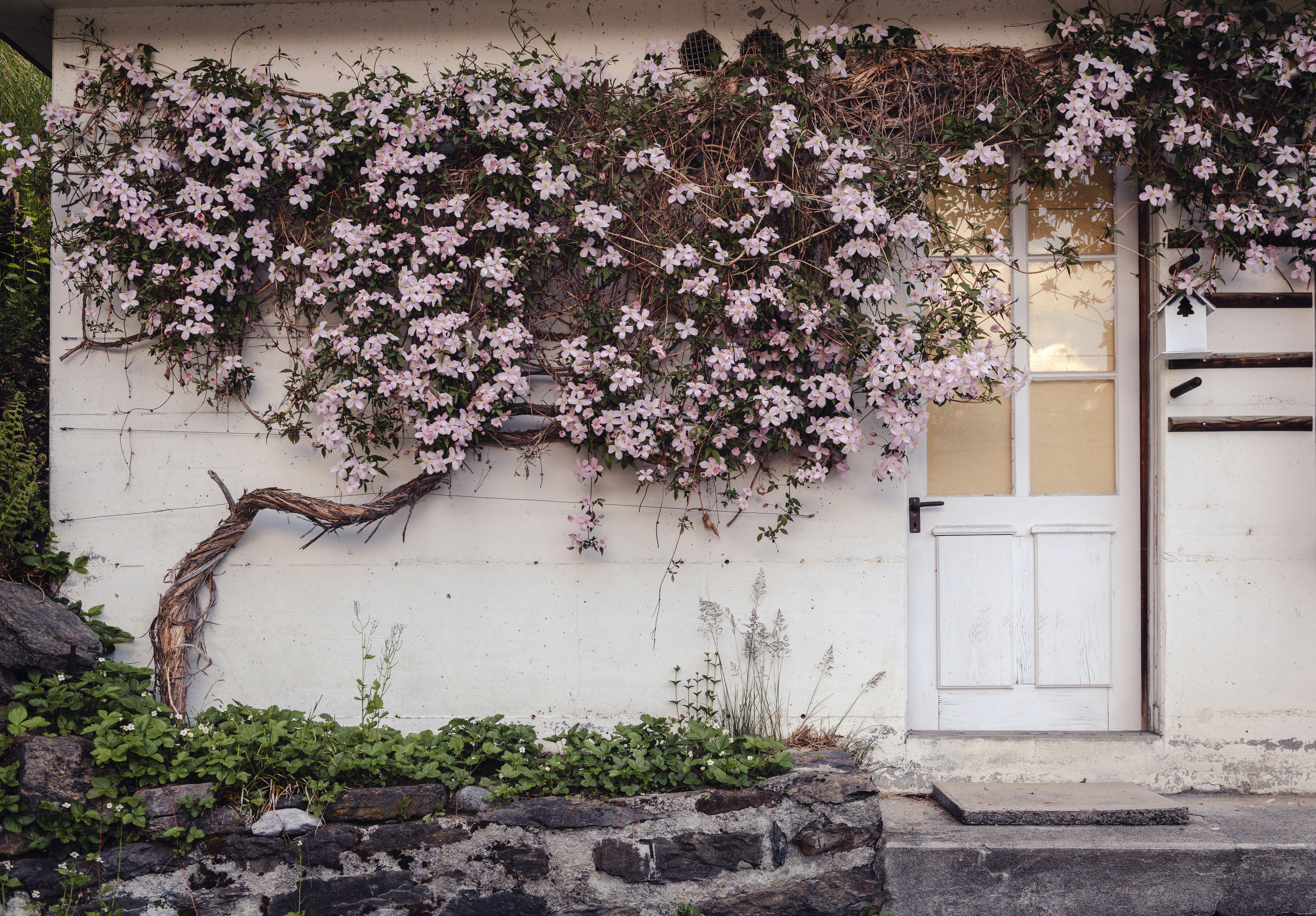 Photo by sriniunsplash