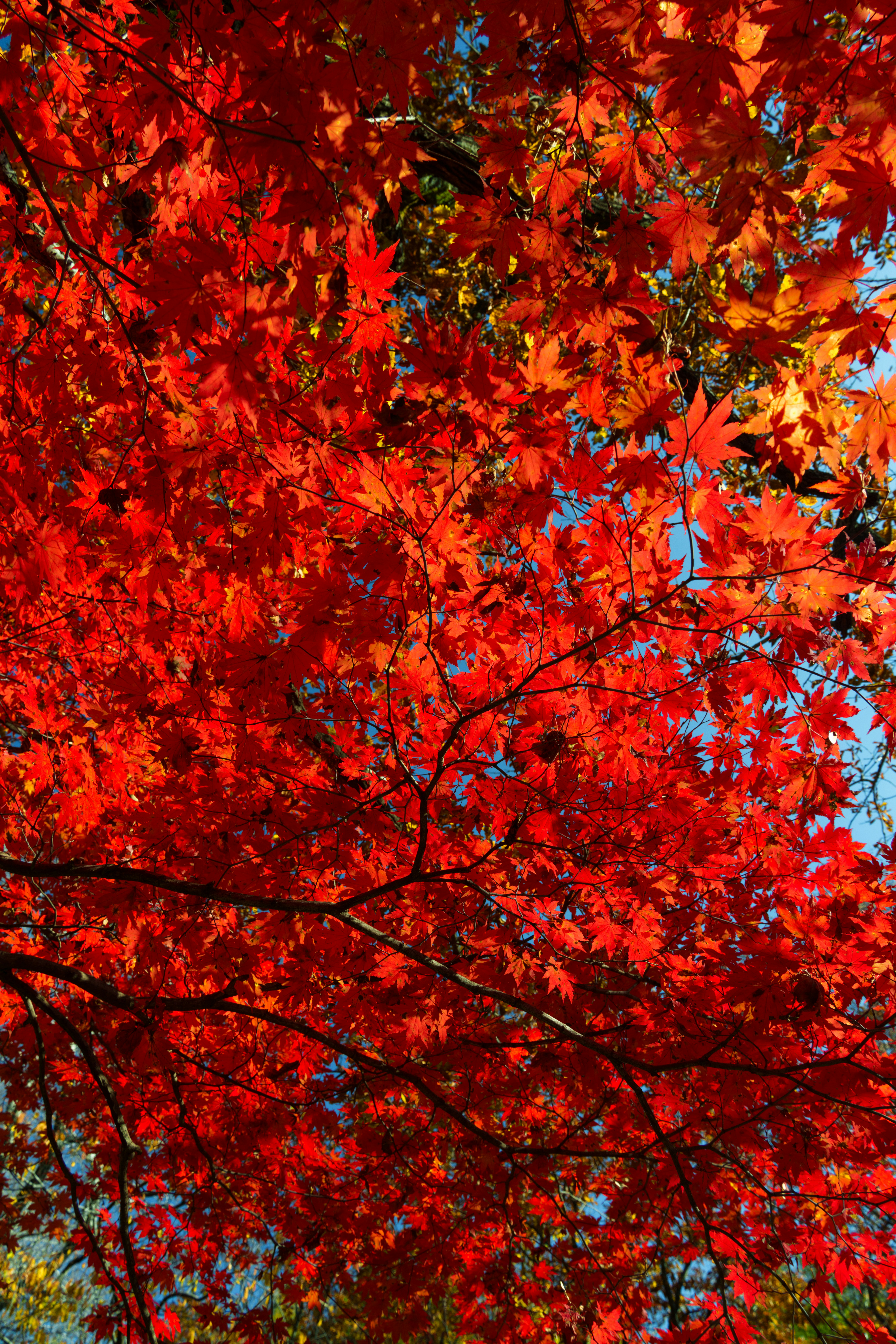 Photo by hattrick1996