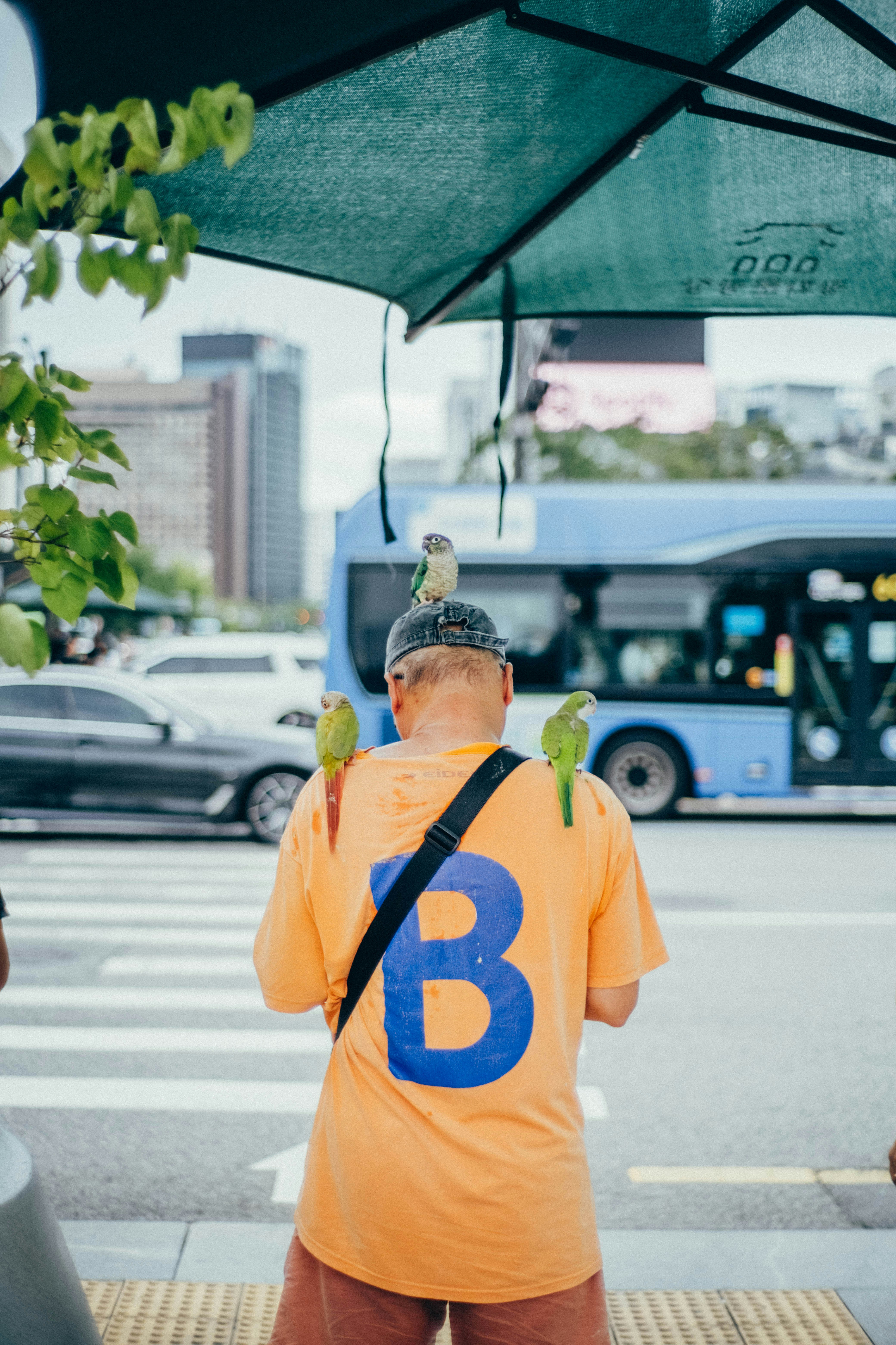 頭と肩にオウムを乗せた男