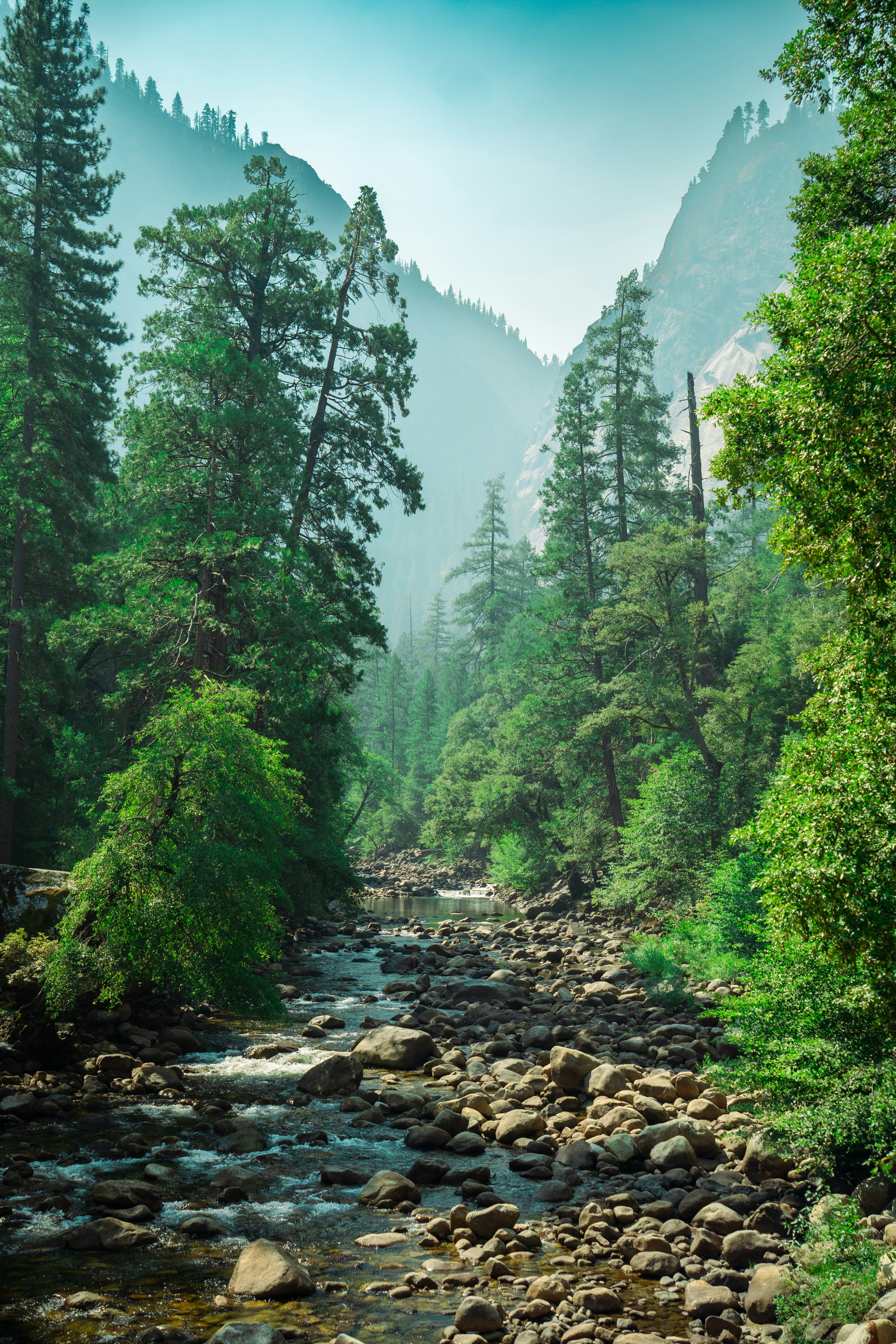 Rocky Creek, New South Wales