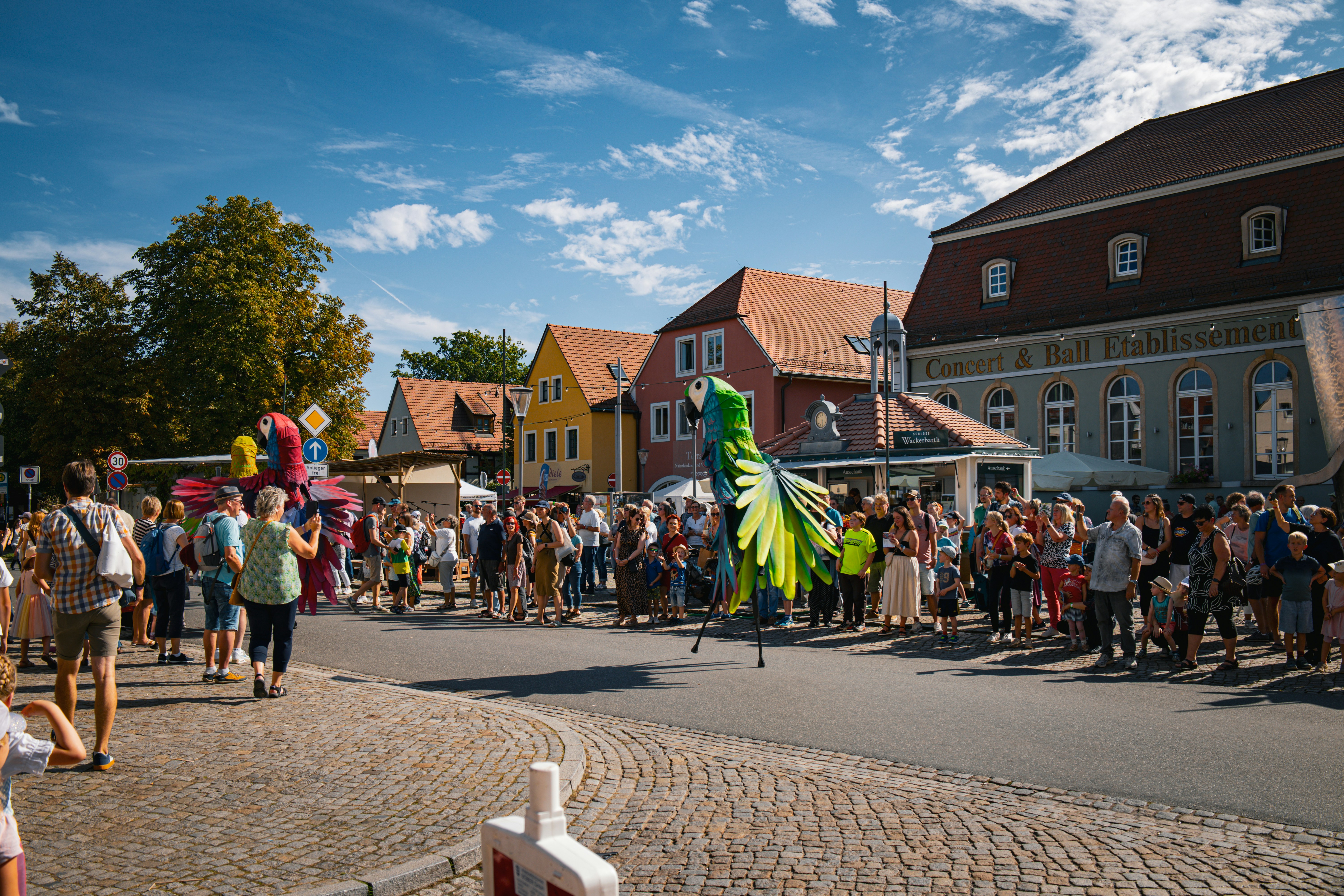 Parade with green bird costume