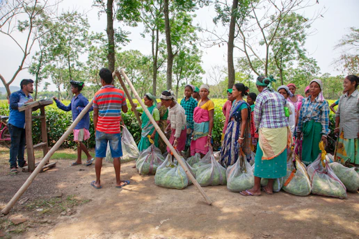 People gathered with large bags of produce near trees