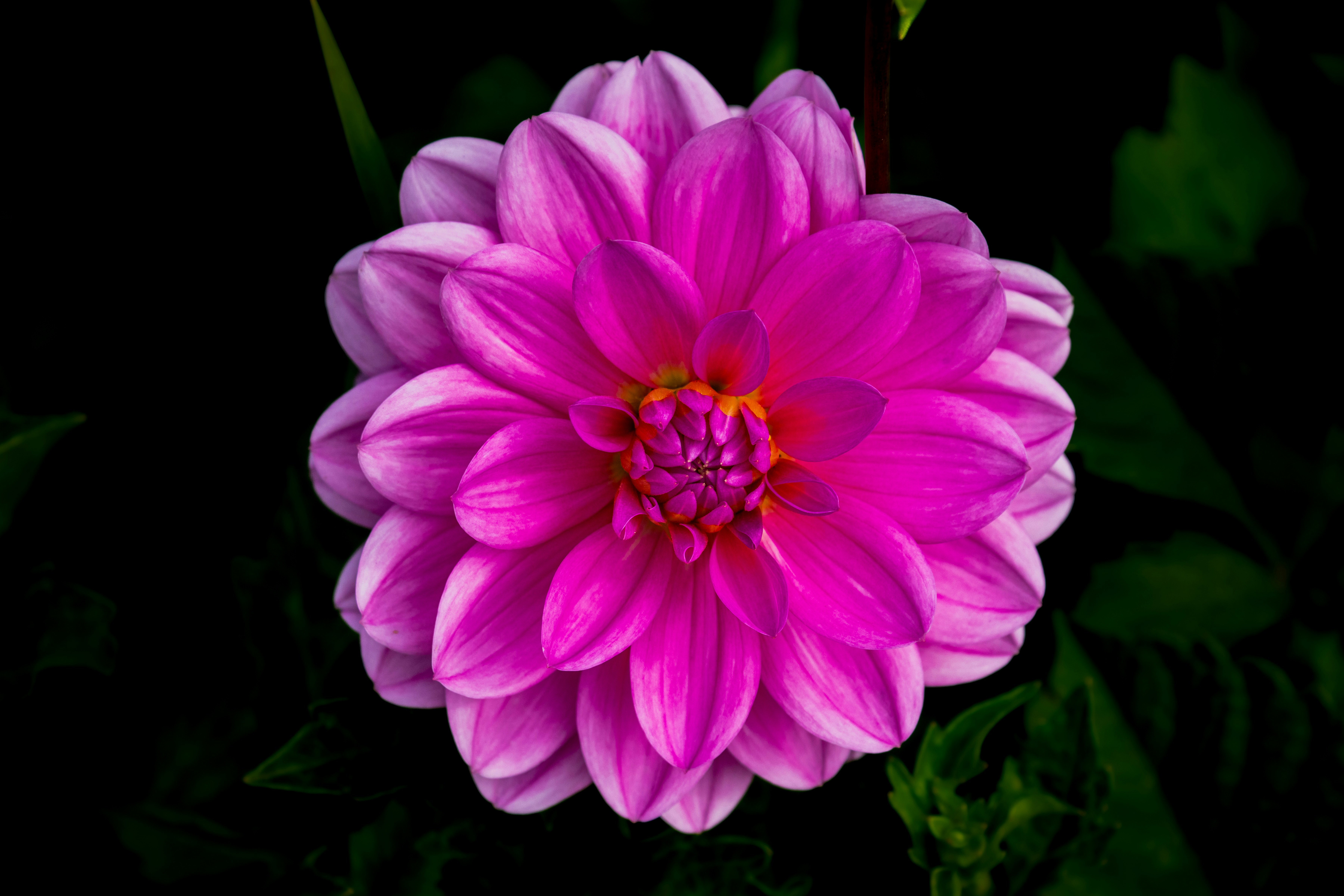 Photo by siegfriedpoepperl