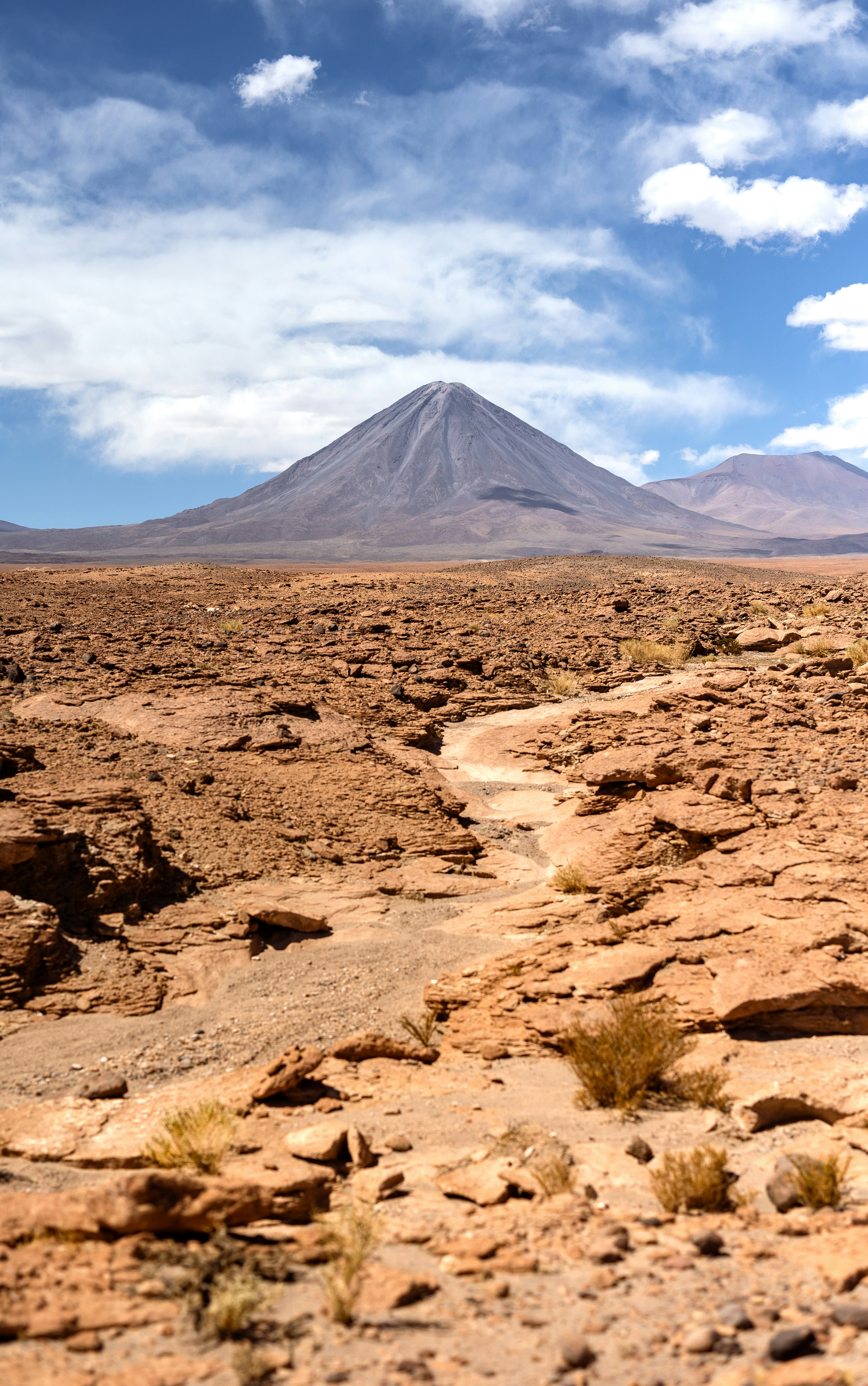 Photo by marekpiwnicki