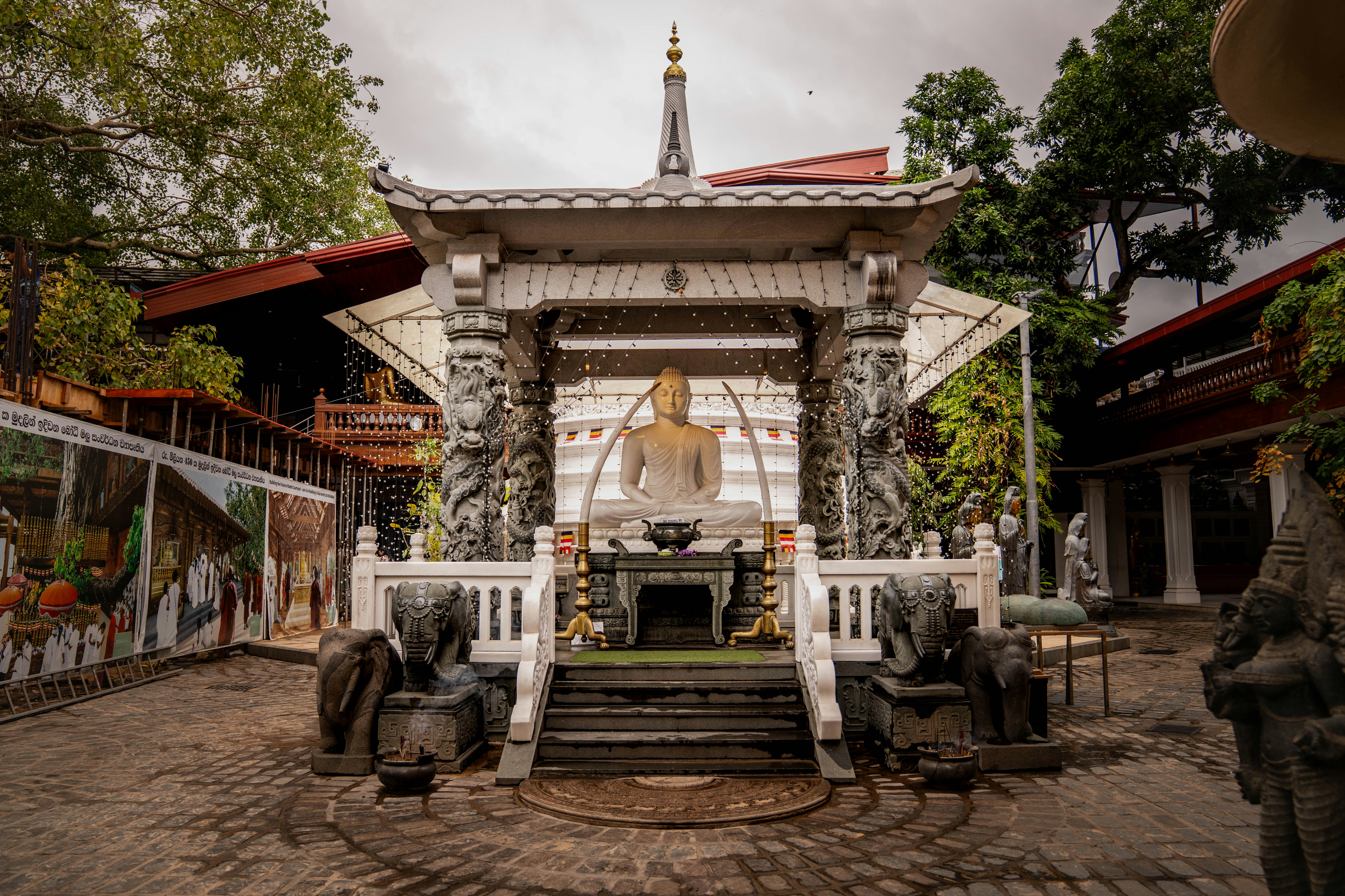 Photo by shanalirajpoot