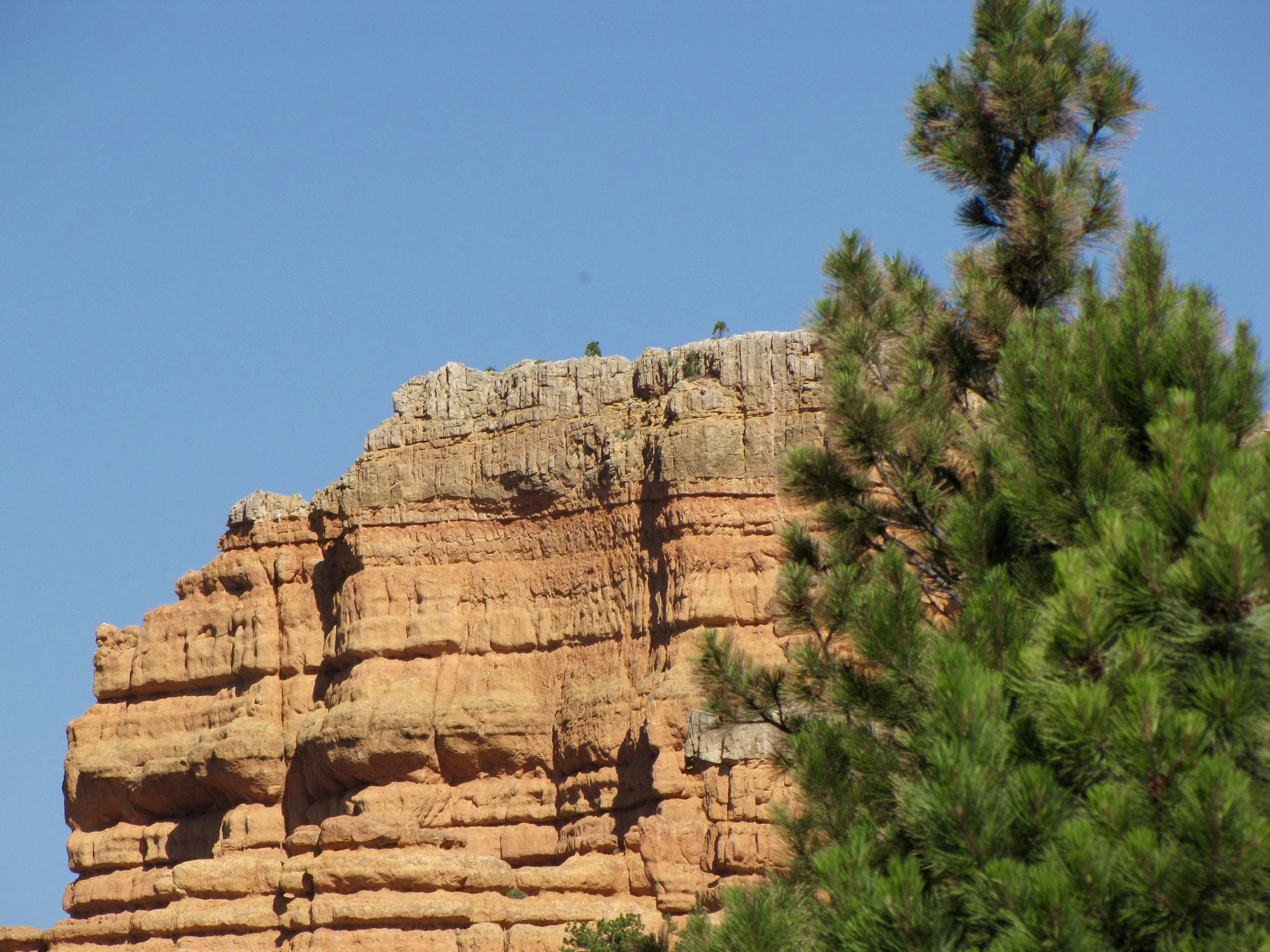 Red rock formations under a clear blue sky