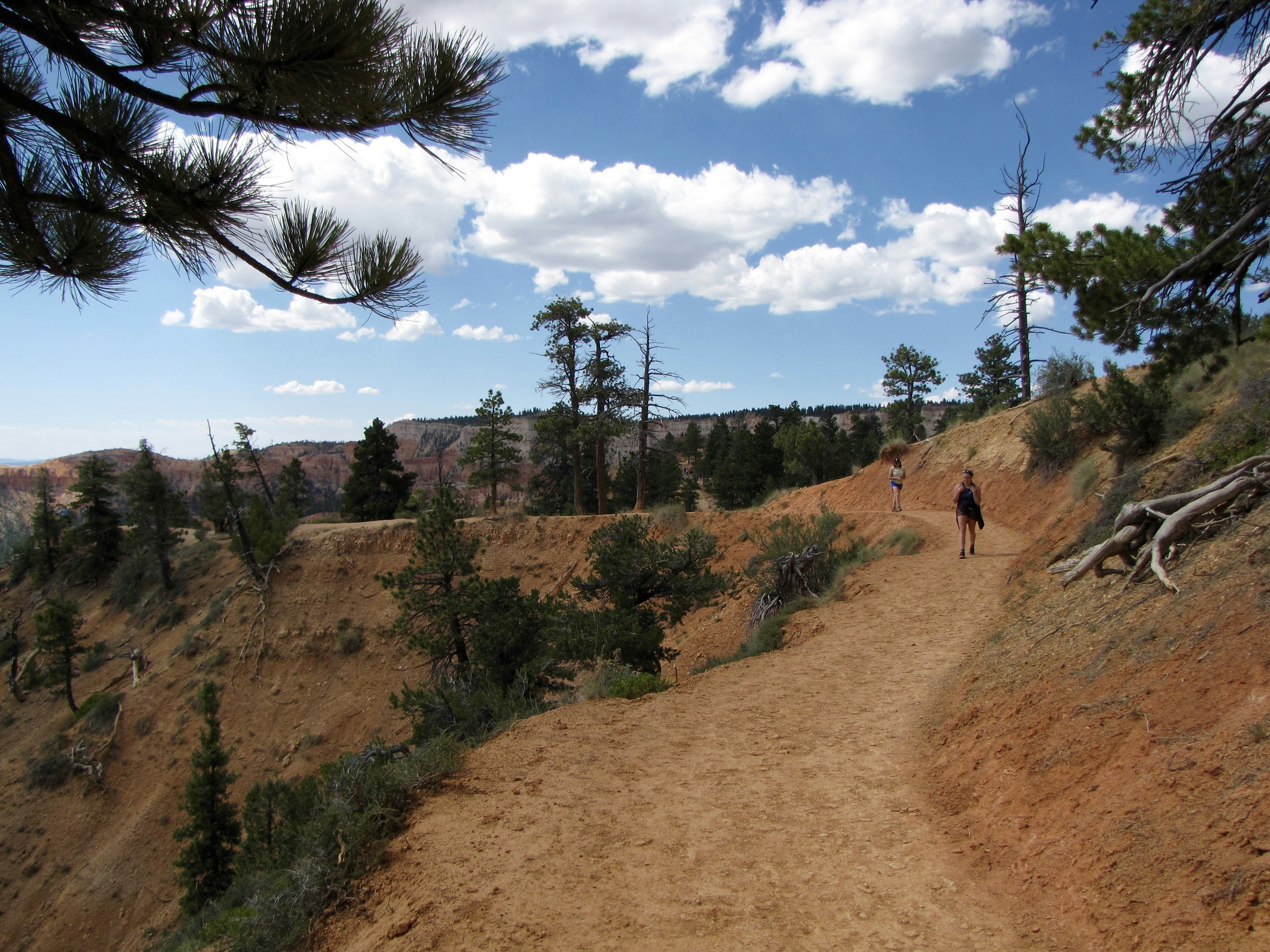 A person walks on a dusty trail overlooking a canyon.