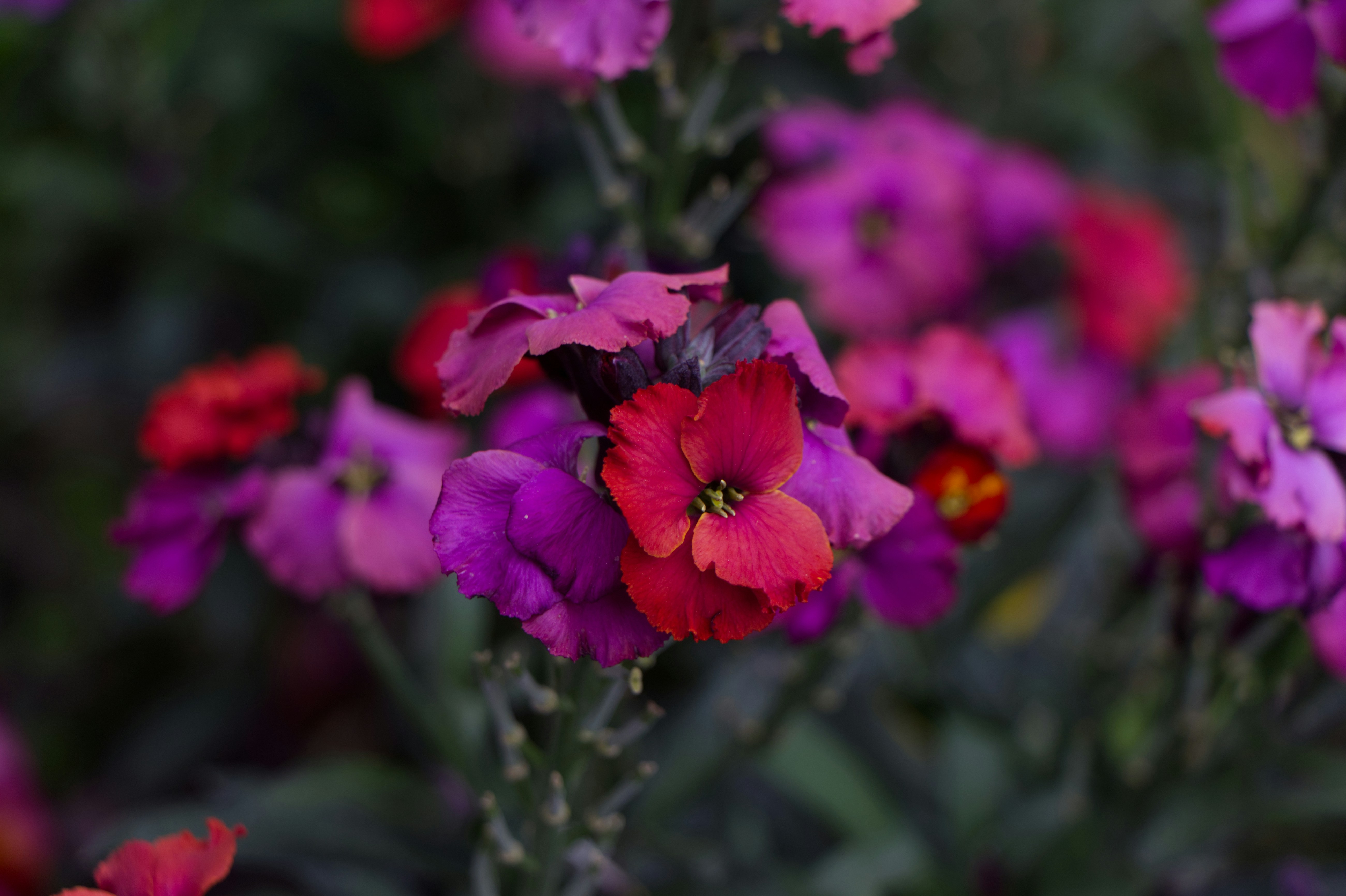 Photo by spaceboundstudio