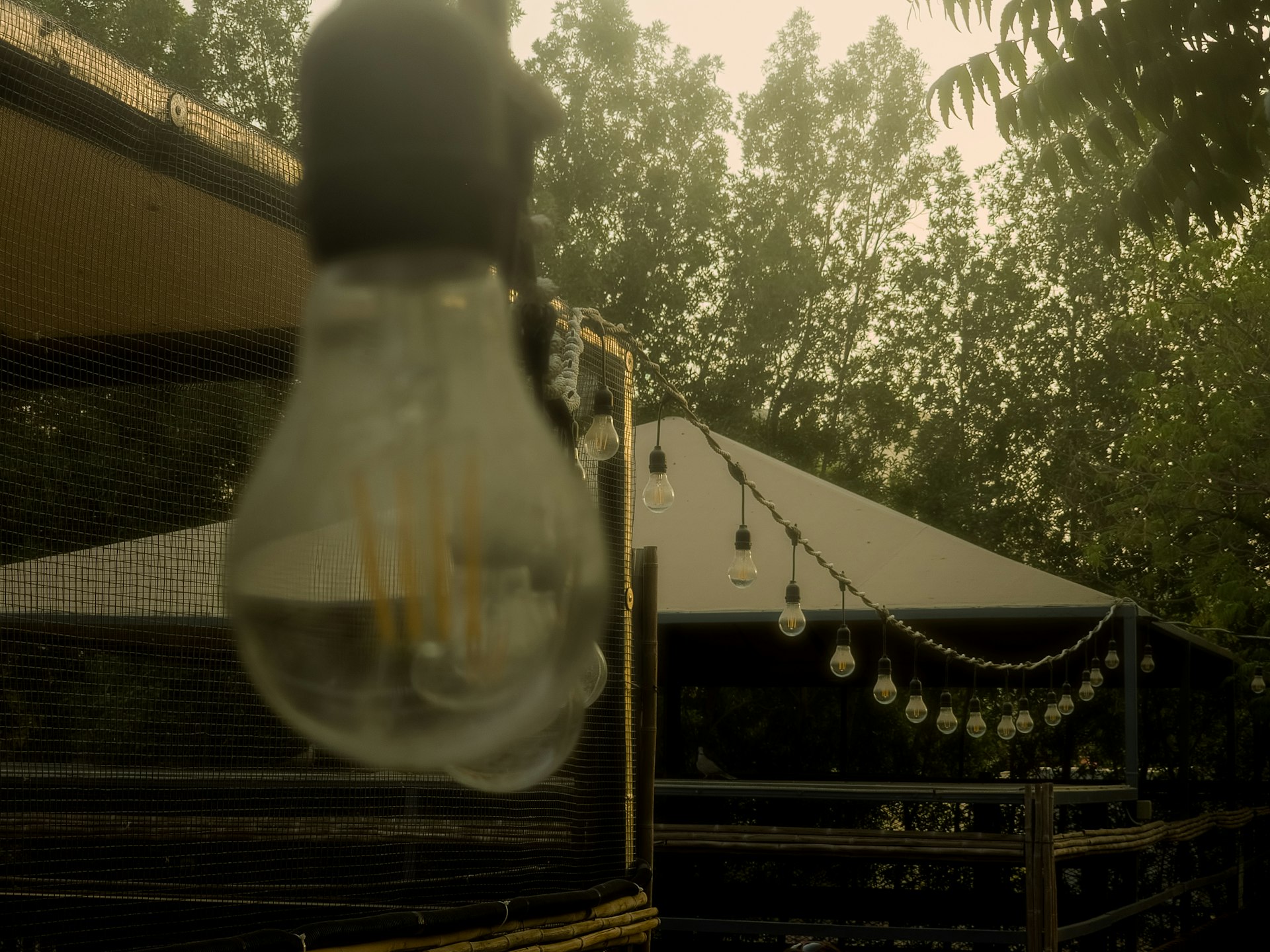 String lights hang in a backyard setting