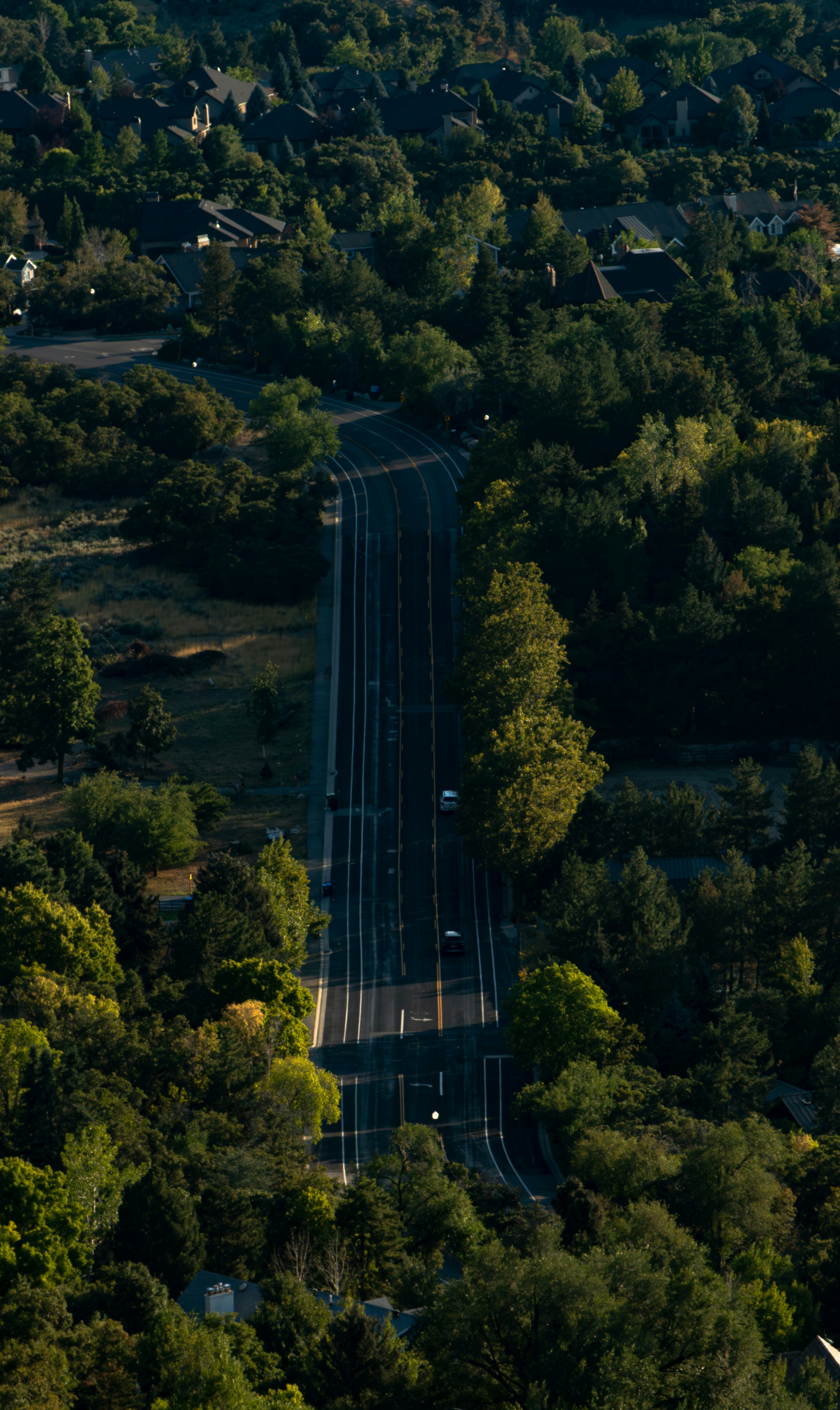 Photo by hadopelagic