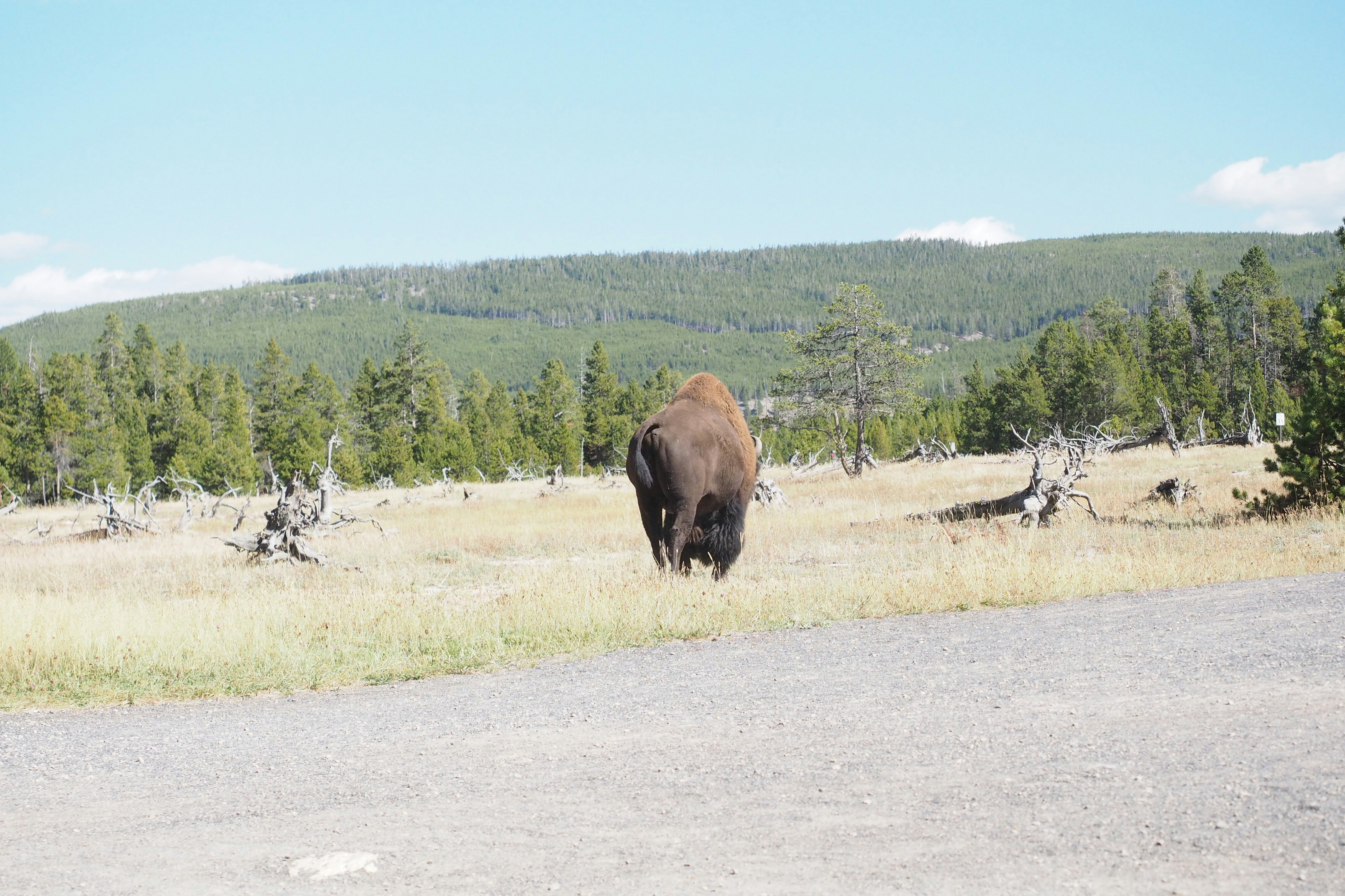 WEST YELLOWSTONE passport office