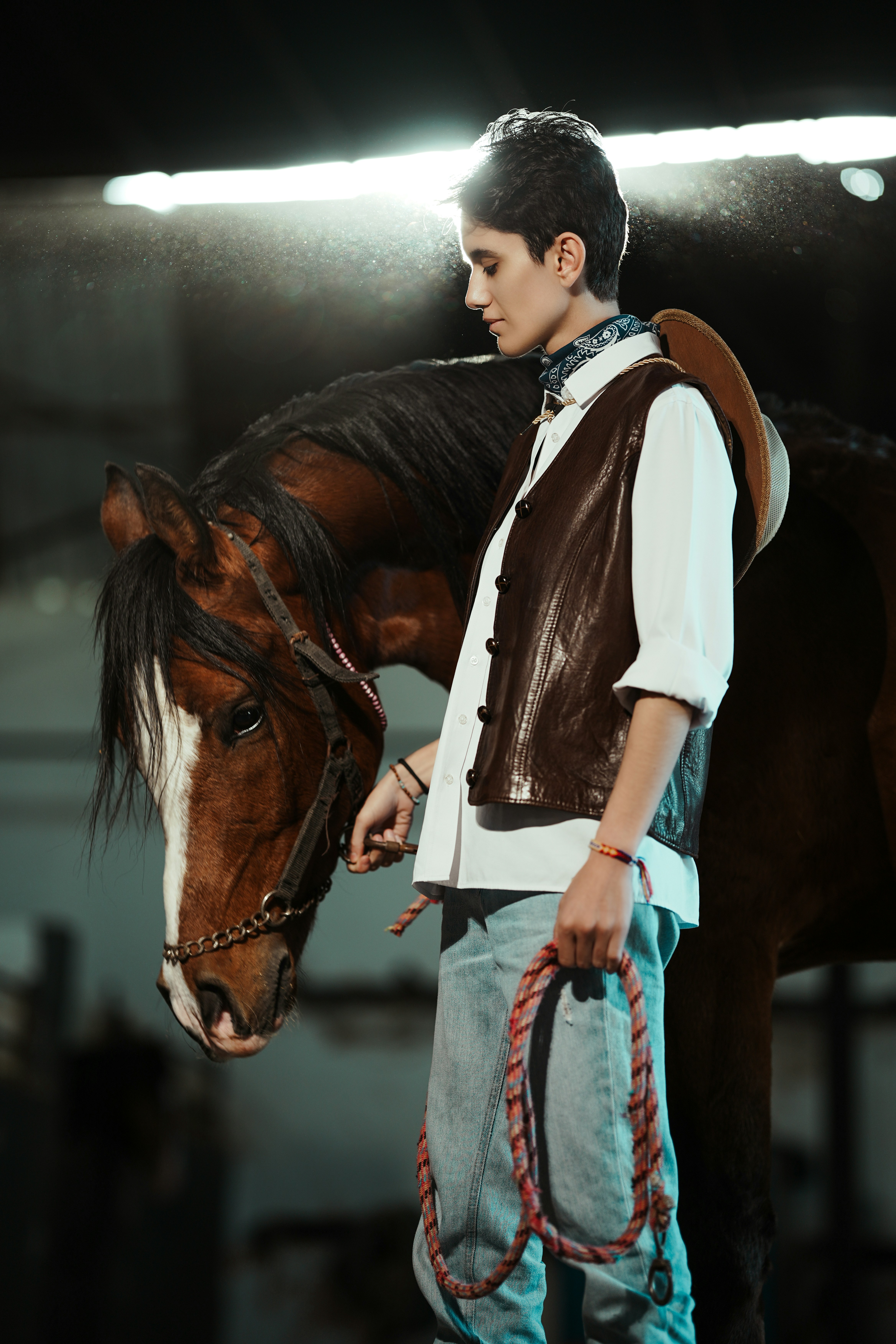 Horse in dimly lit stable