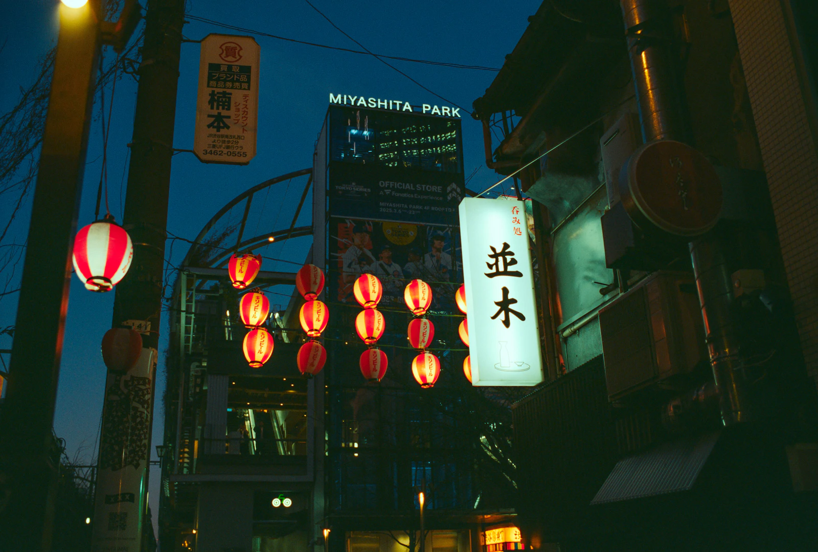 Japanese lanterns at night festival
