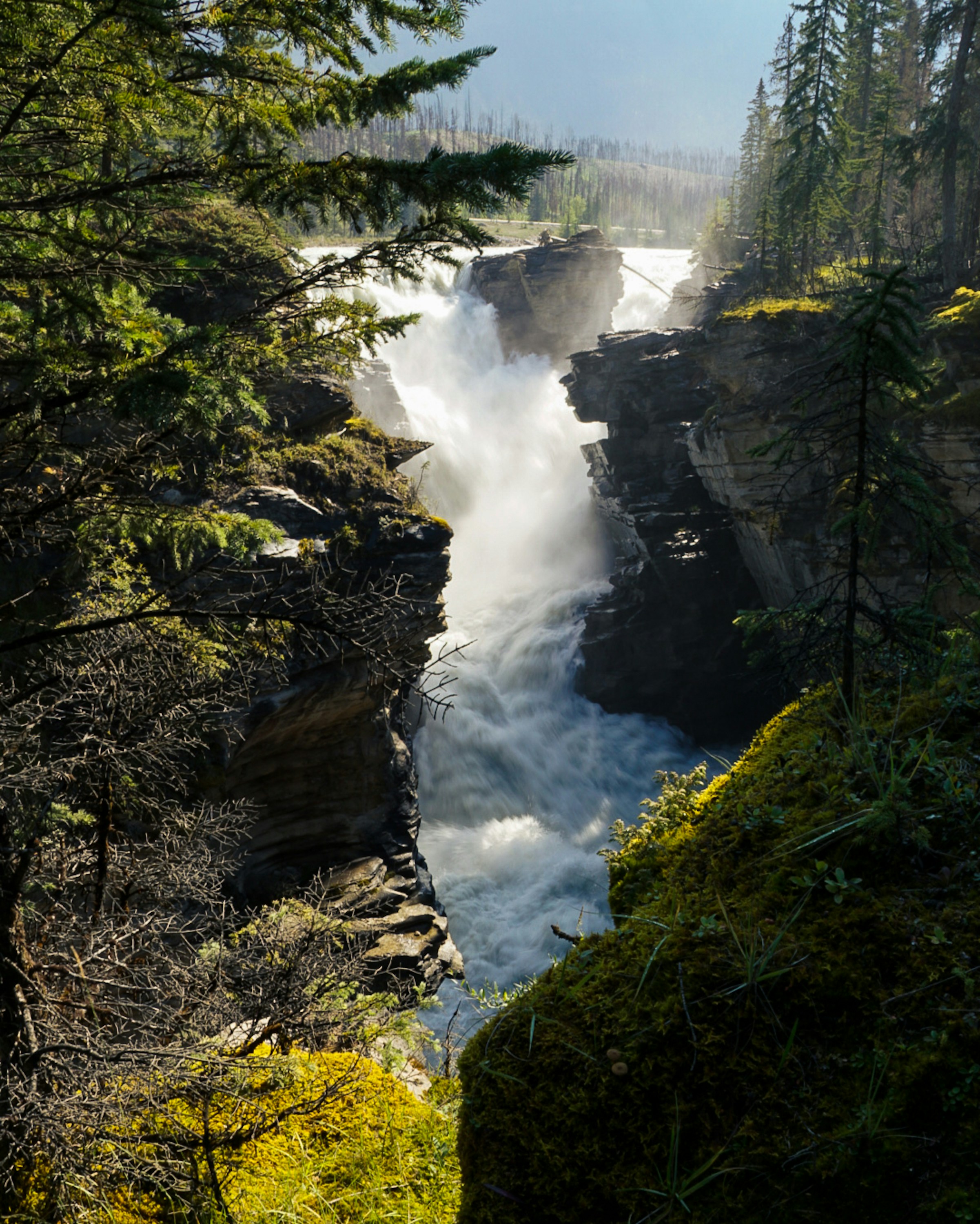 Photo by sergioromero