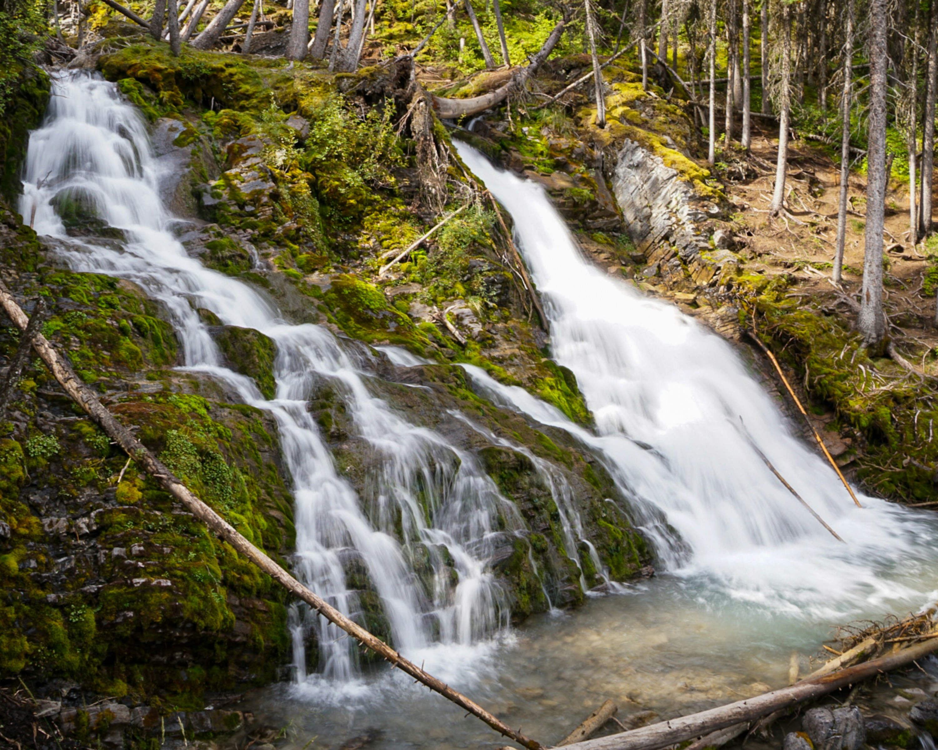 Photo by sergioromero