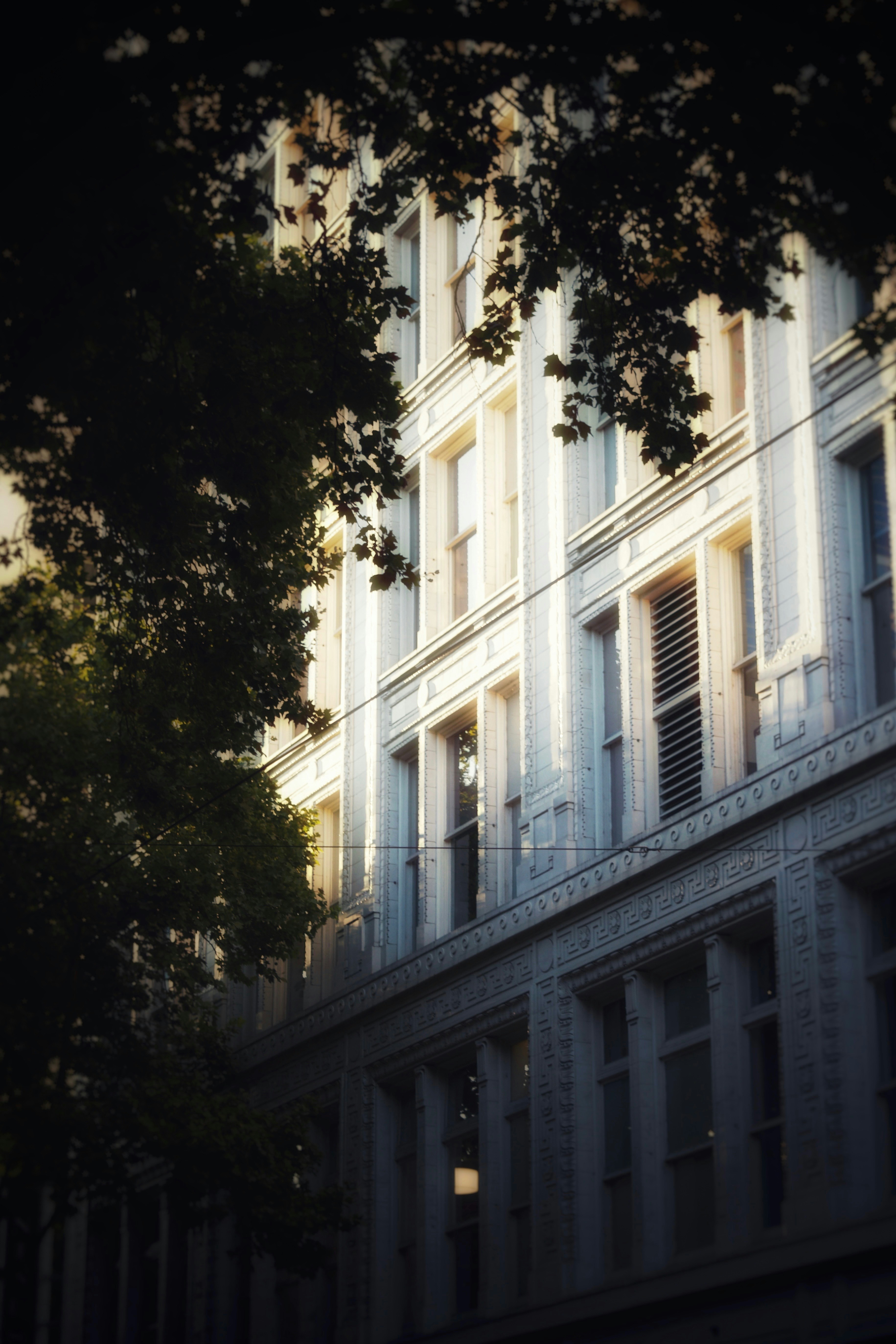 Photo by marshalliden124