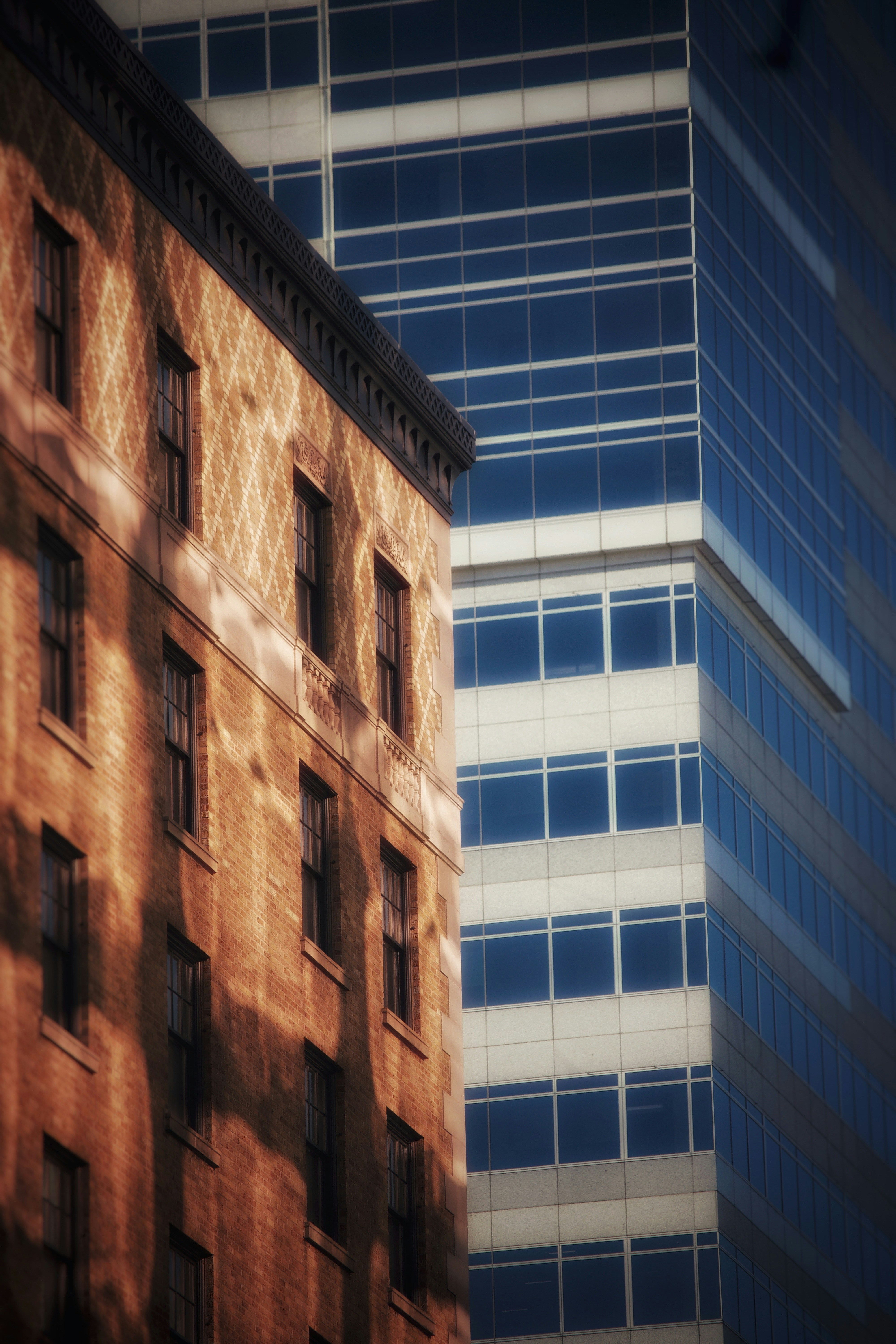 Photo by marshalliden124