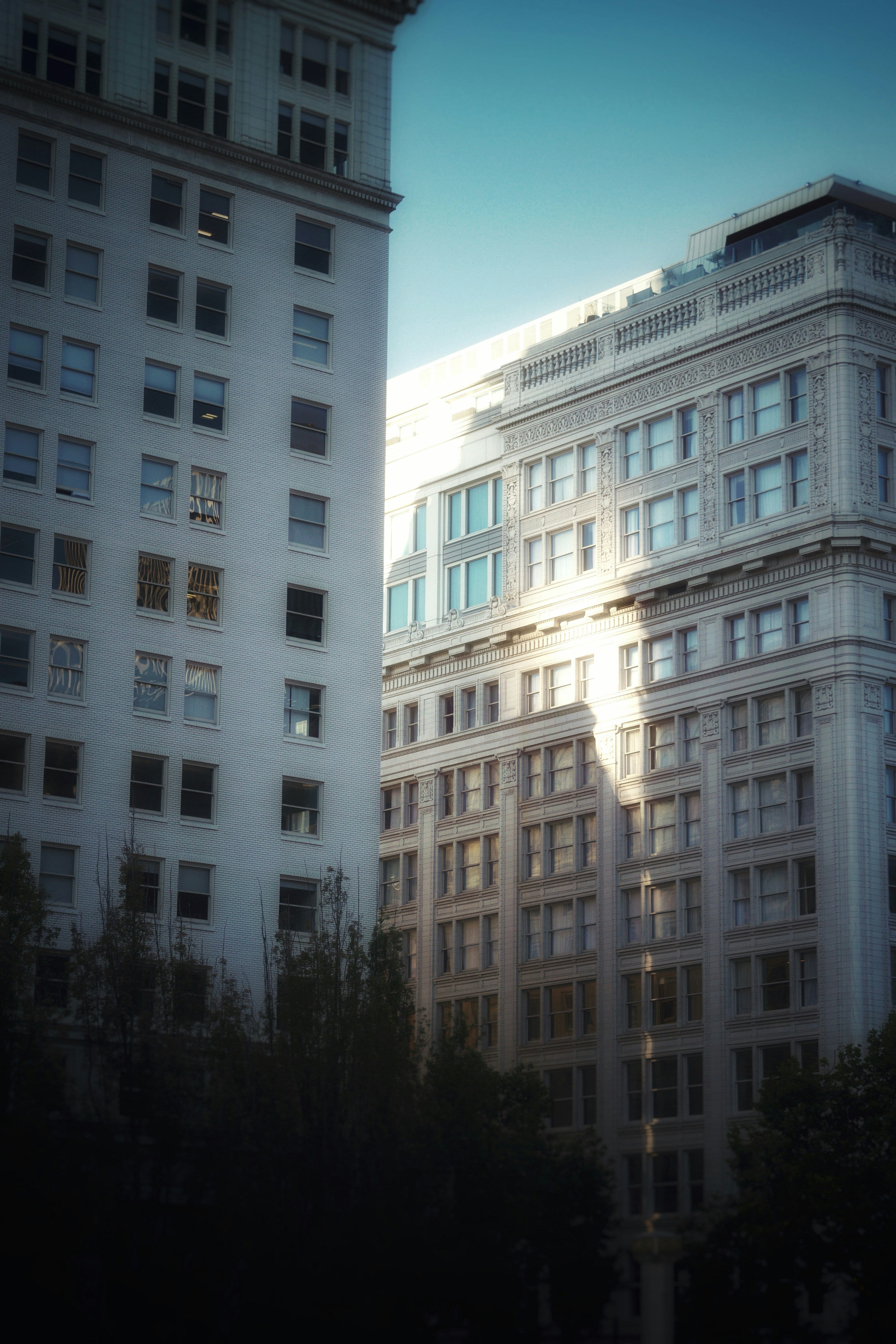 Photo by marshalliden124