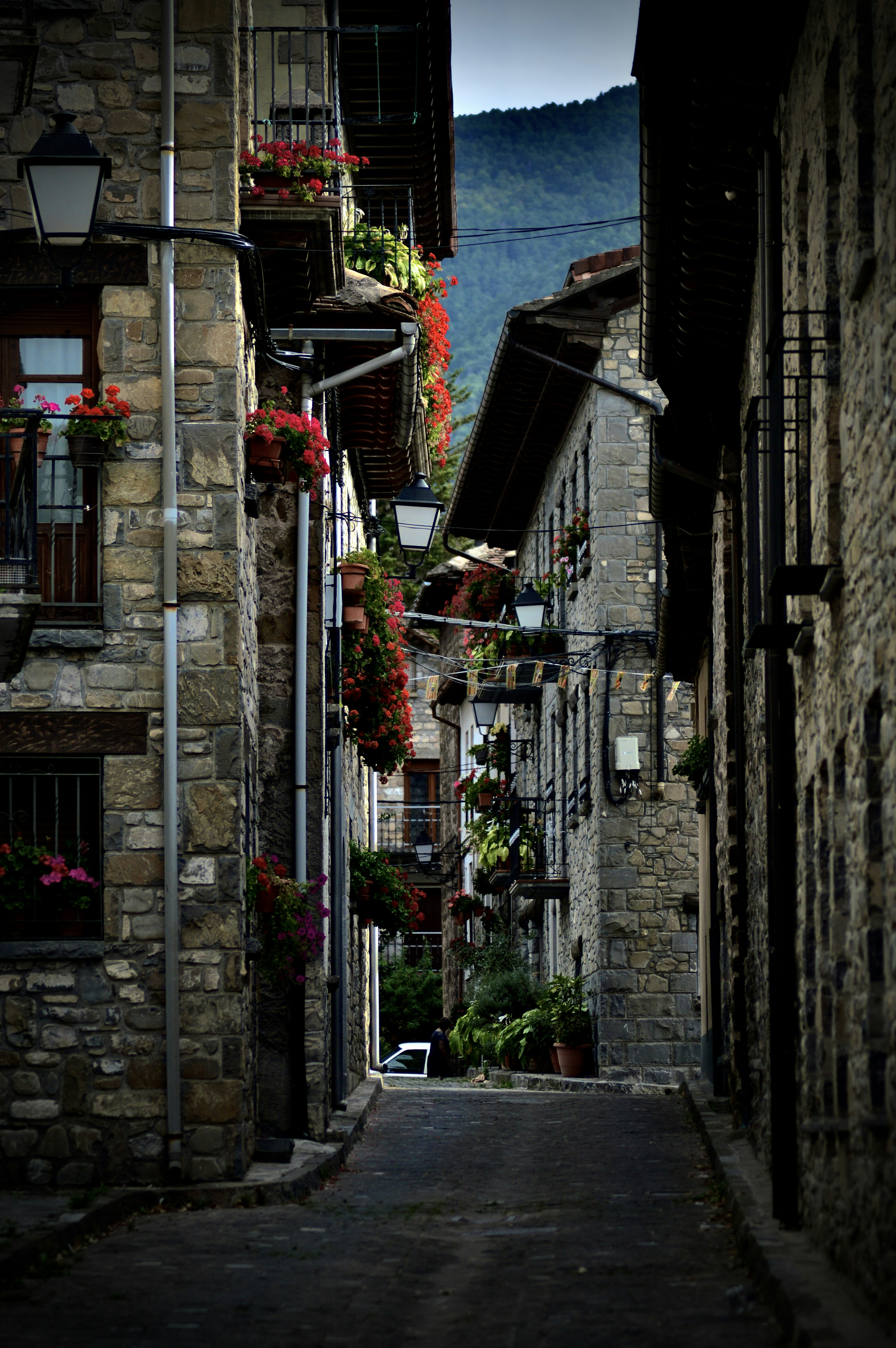 Photo by antoniozarza