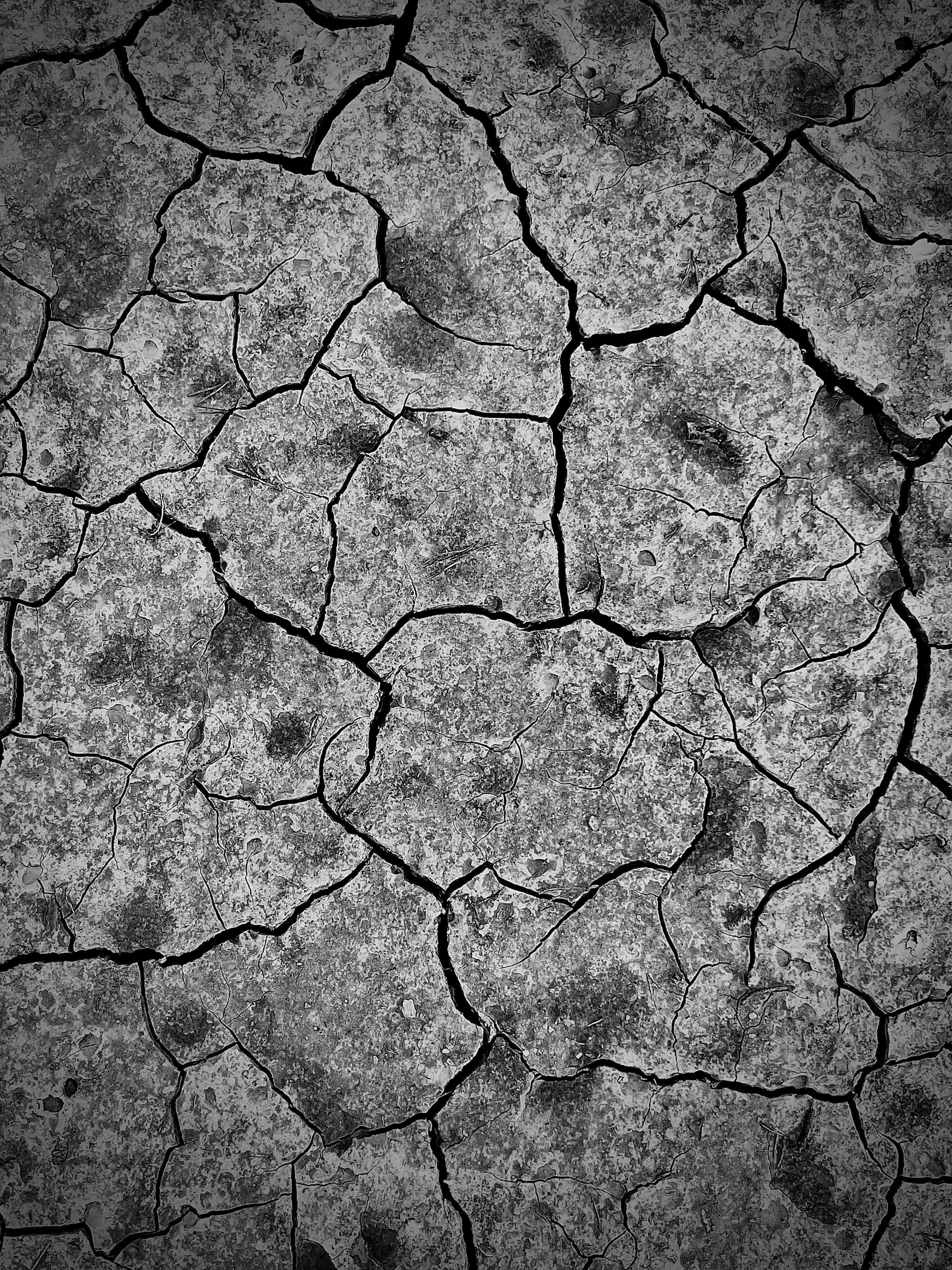 Photo by antoniozarza