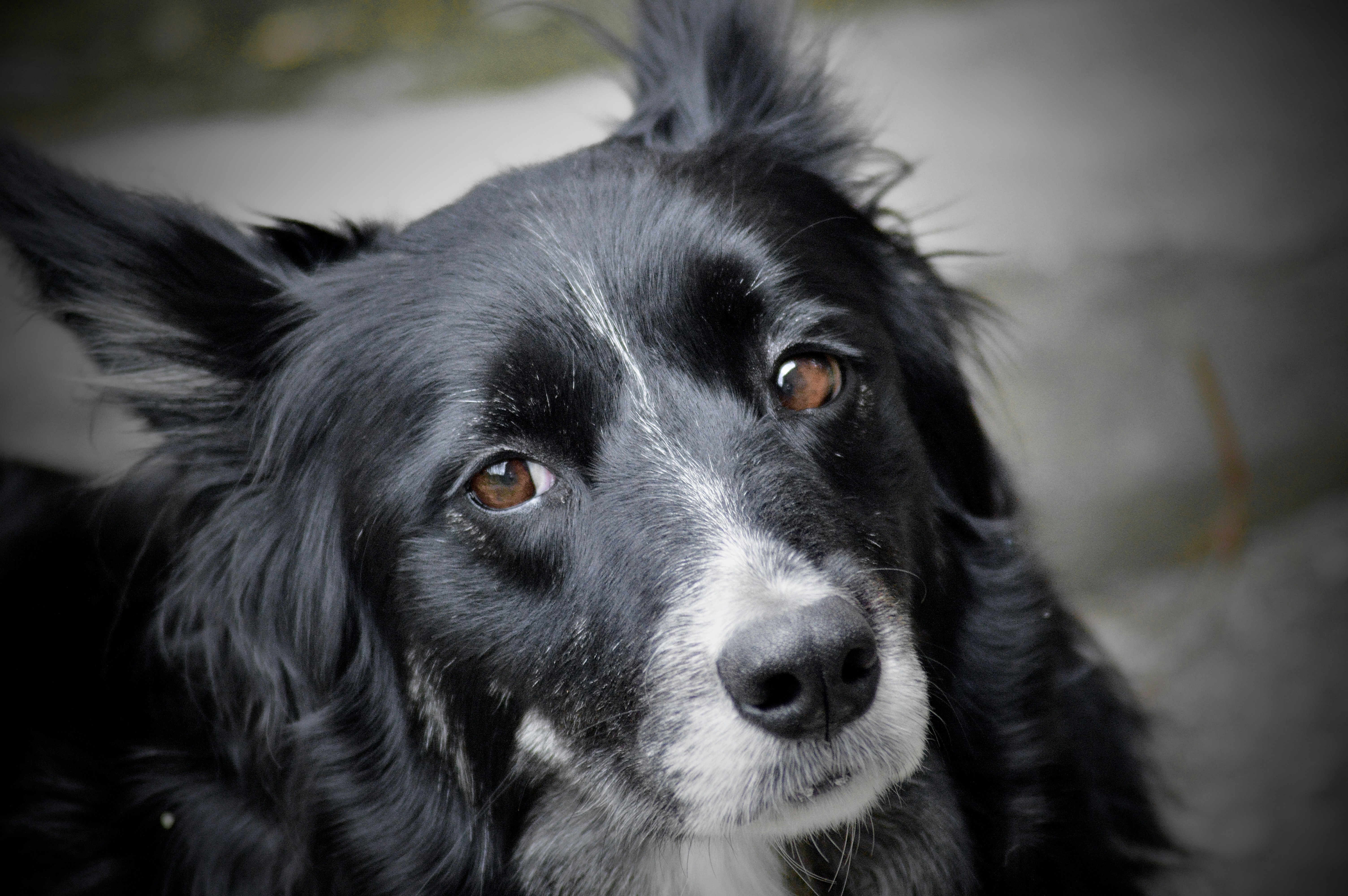 Photo by antoniozarza