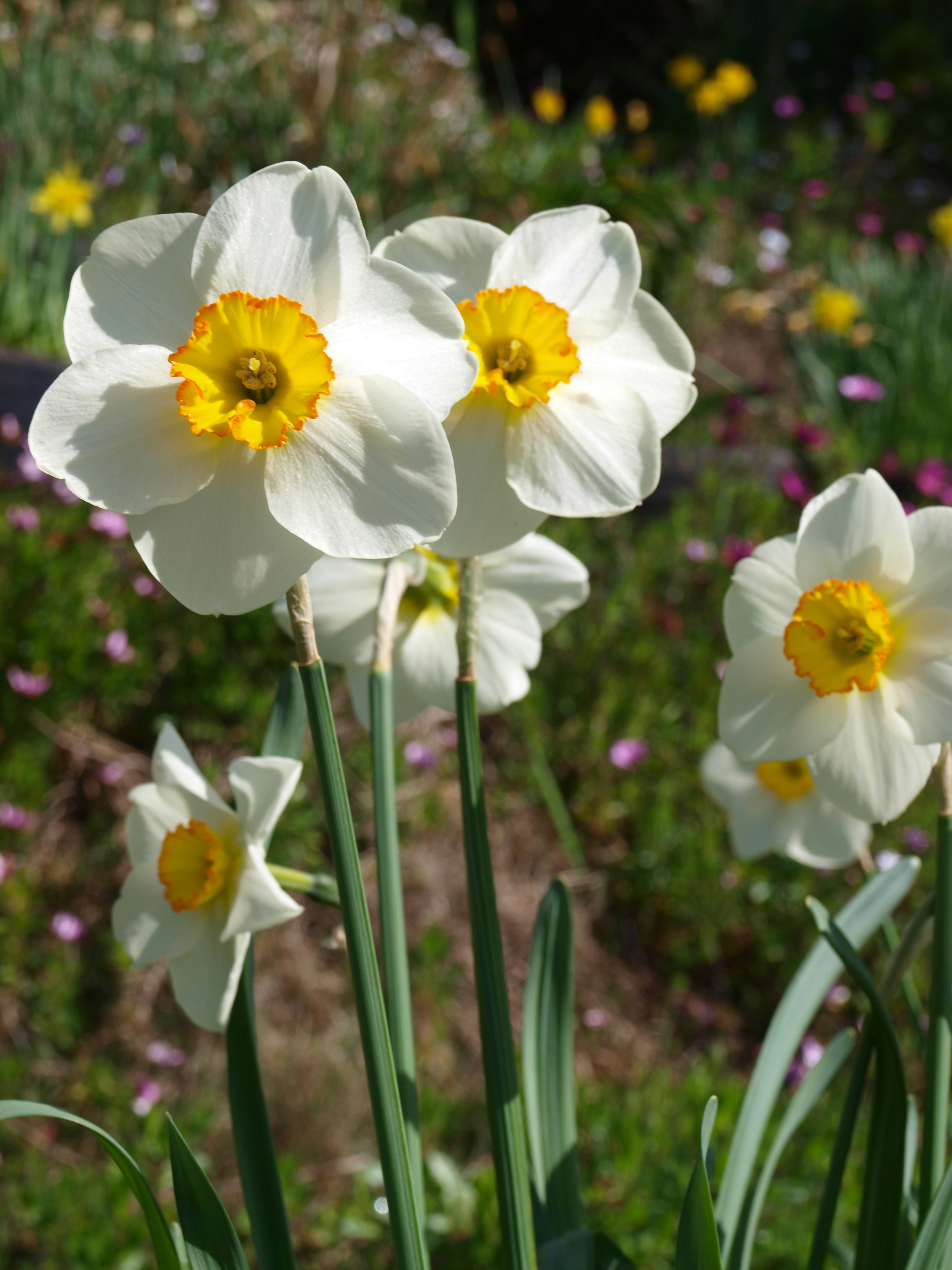 Photo by lutruwita_exposure