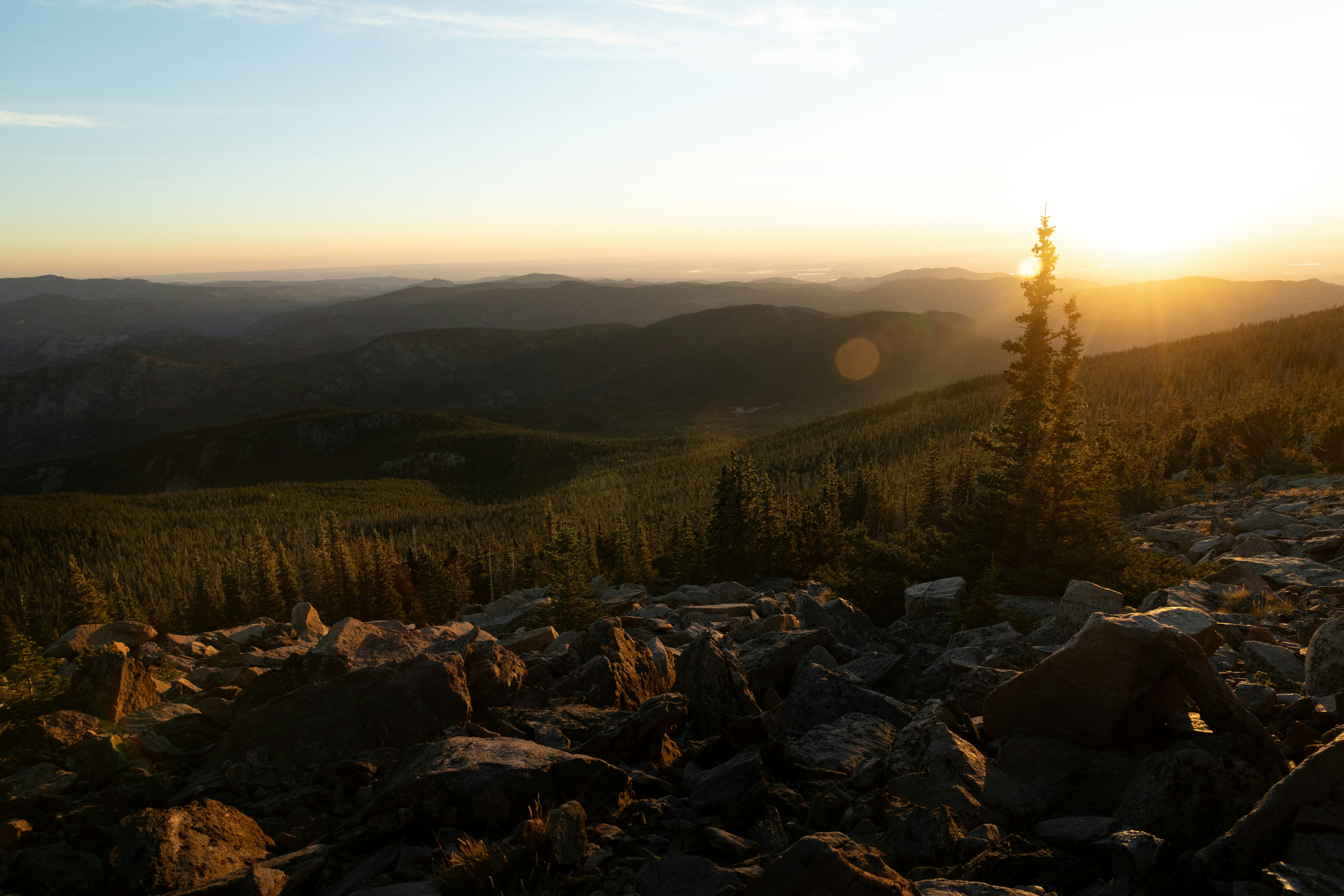 Photo by ldpeterson11