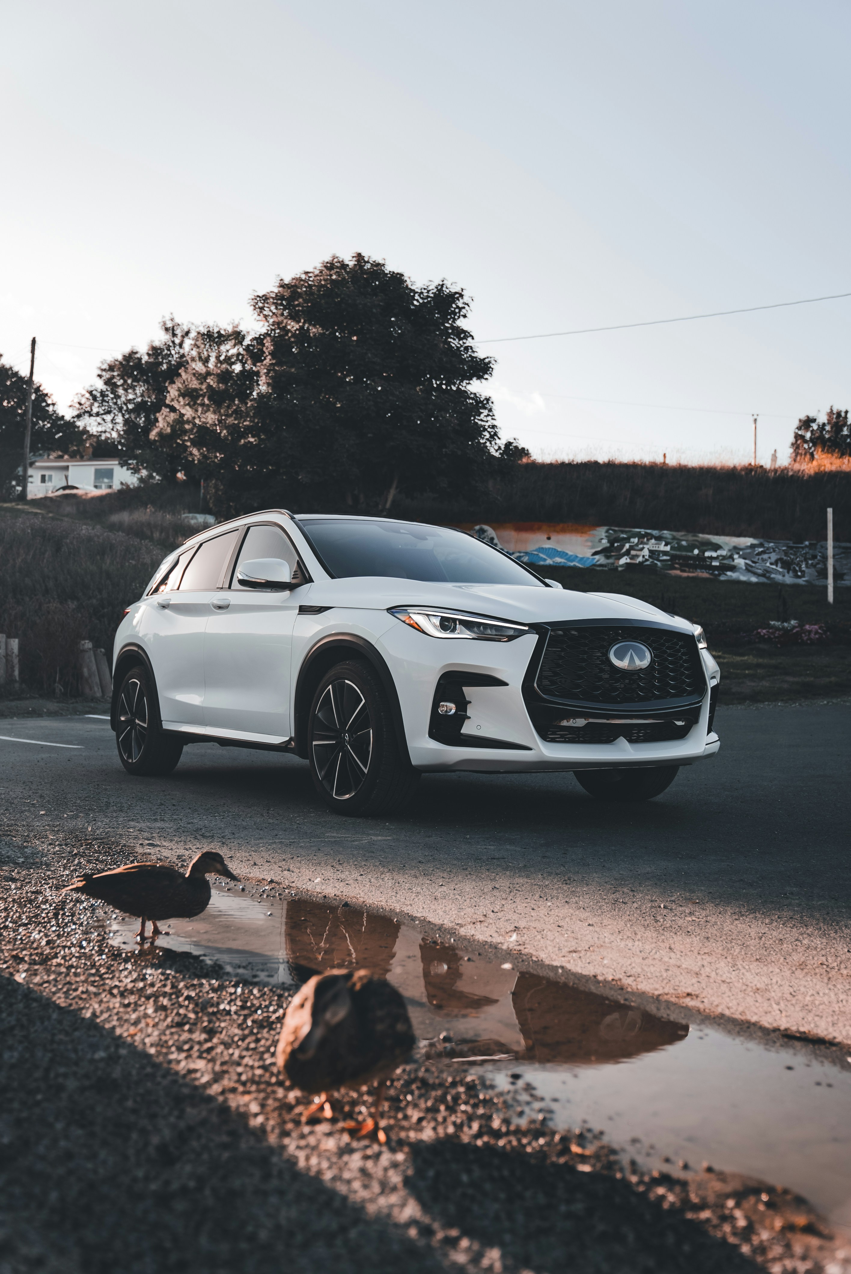 Photo by introspectivedsgn