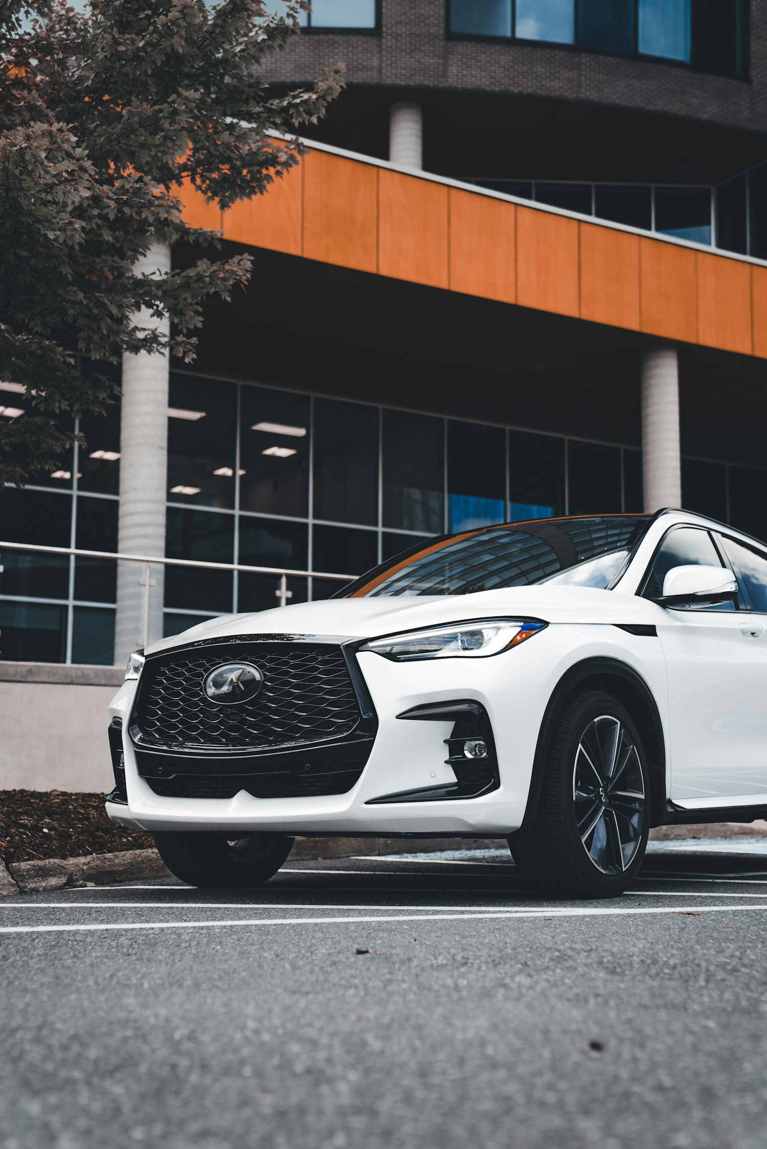 Spectacular Beach Sunset