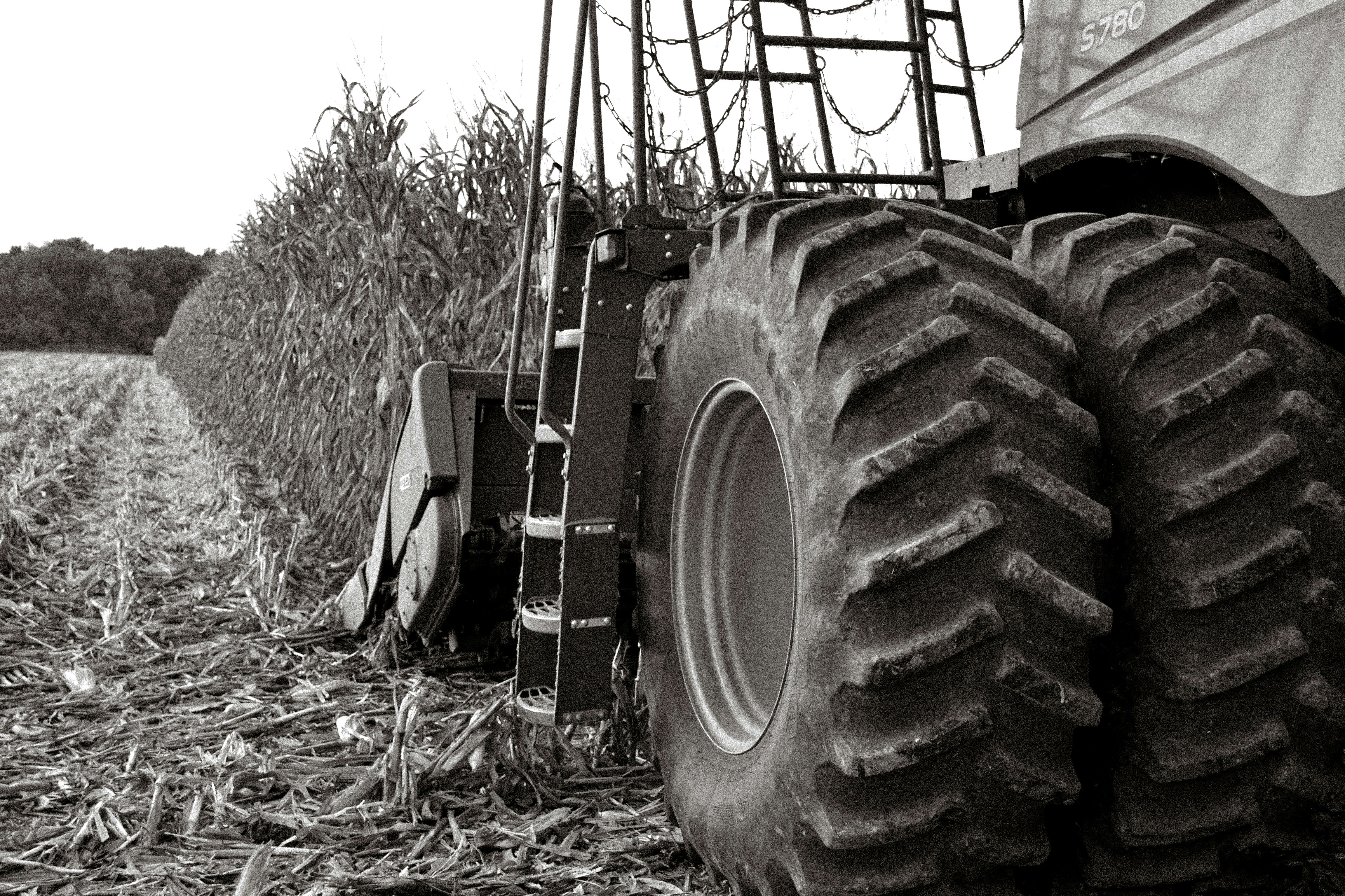 Photo by trailshutter