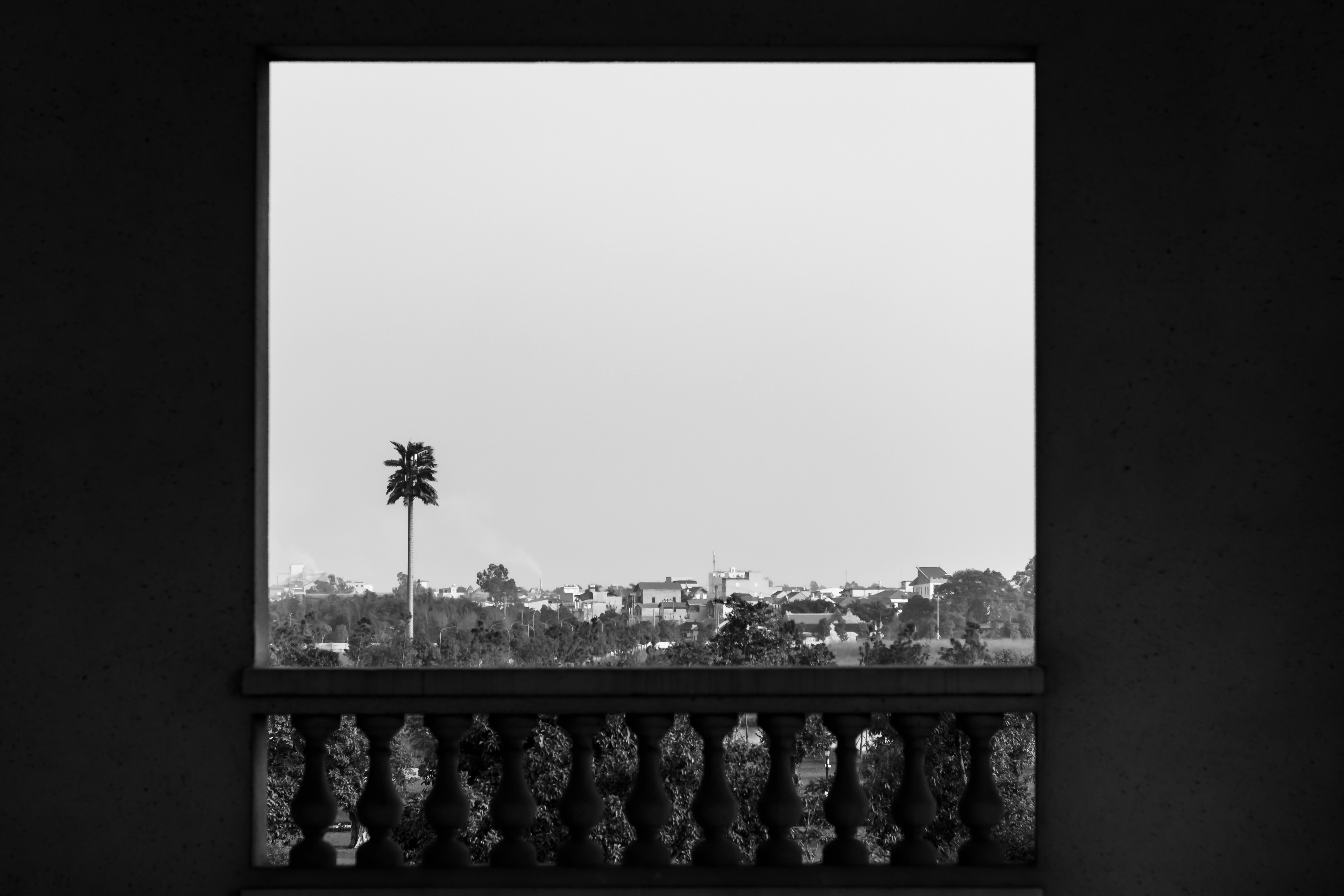 View through ornate balcony railing to distant trees and buildings.