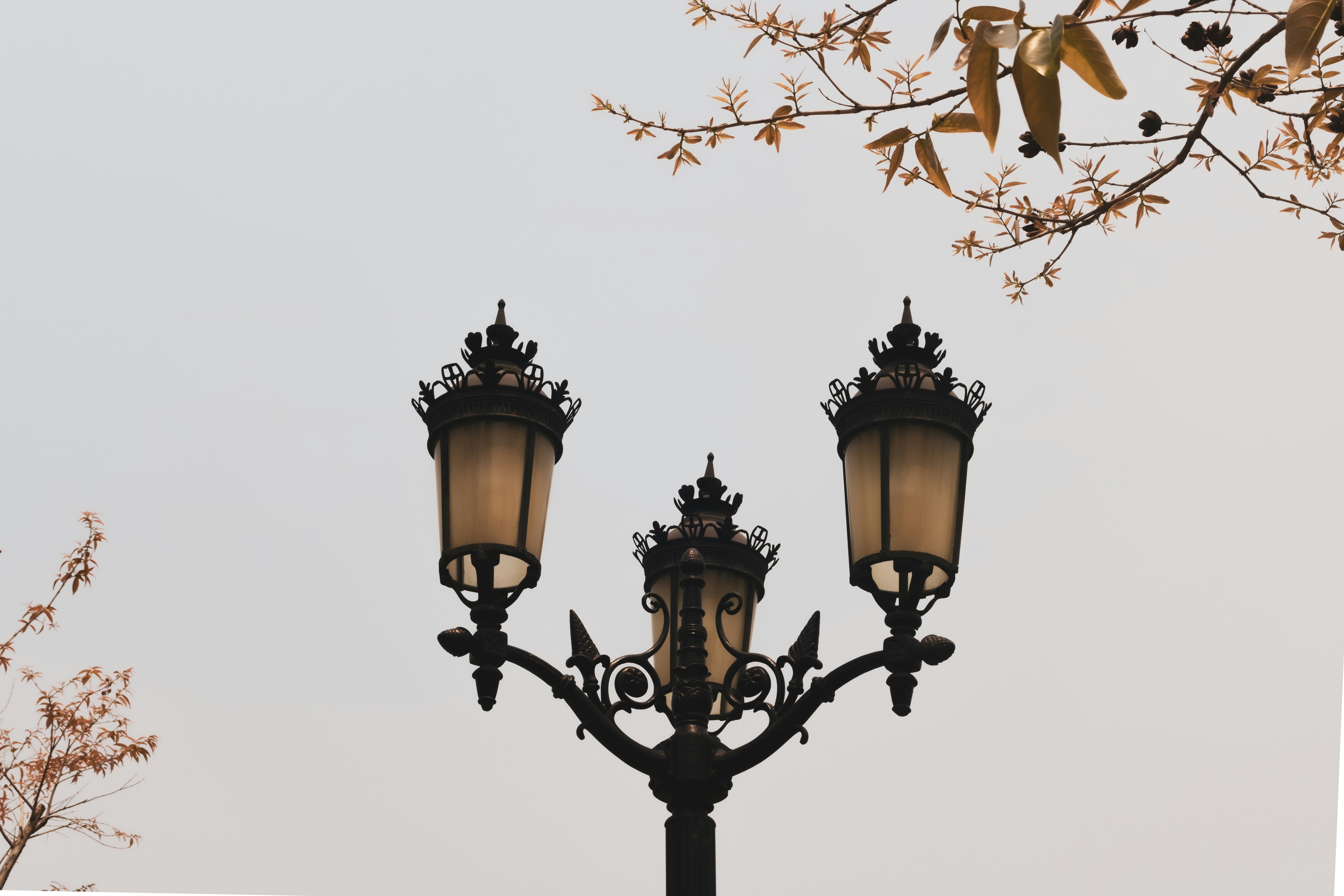 Ornate lamppost against a pale sky with branches