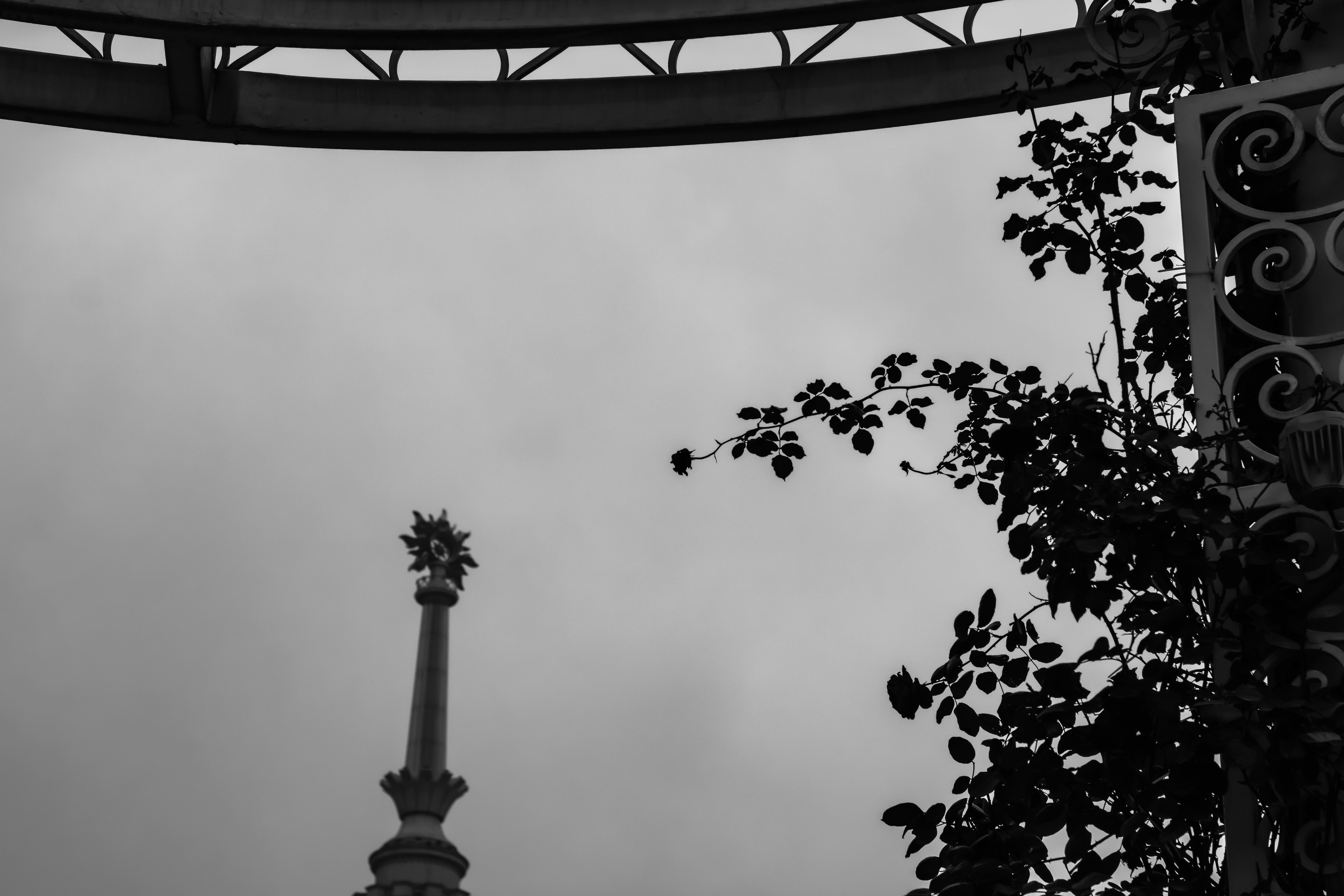 A spire and tree branches against a cloudy sky