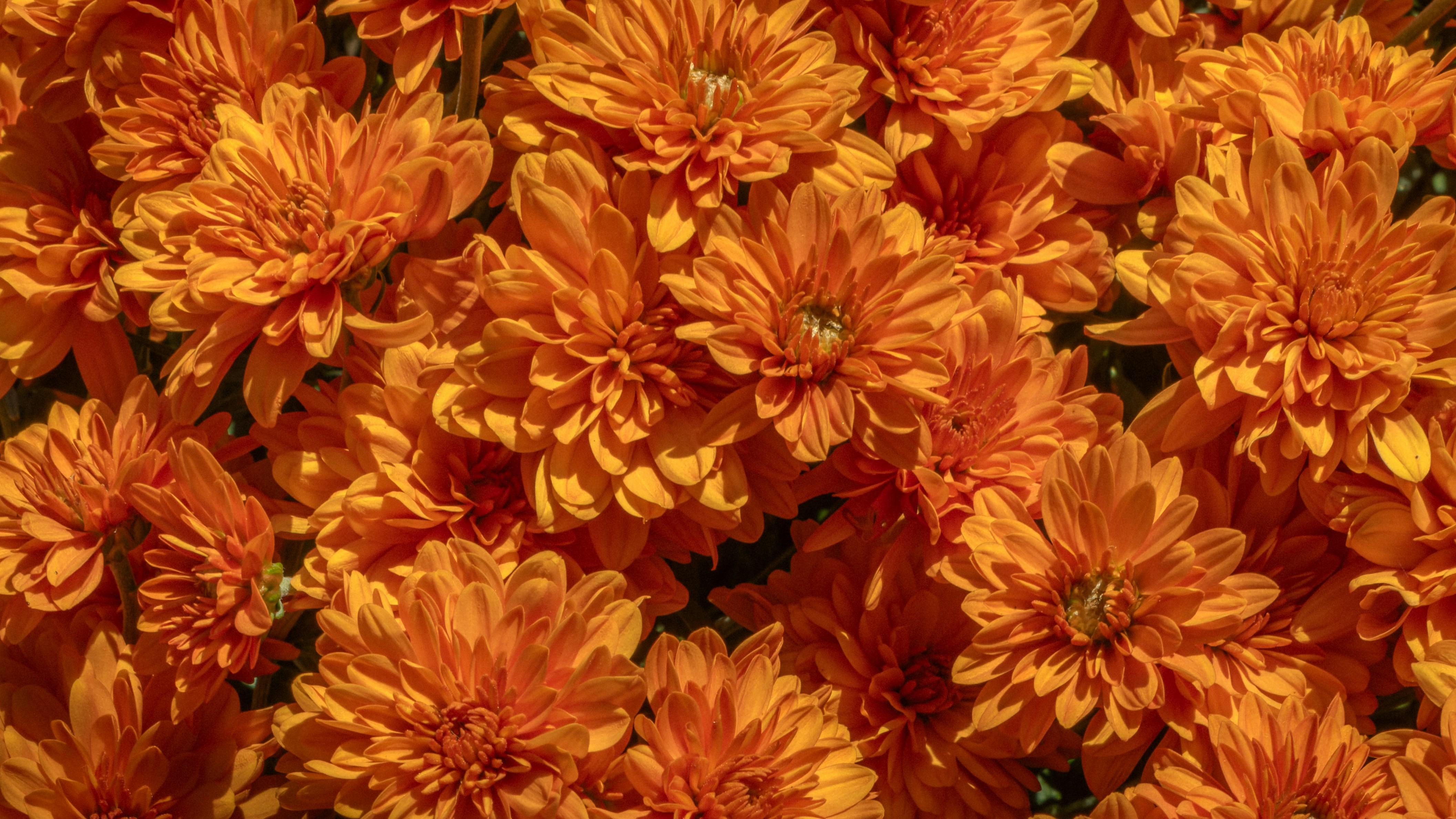 Photo by peterbbryan