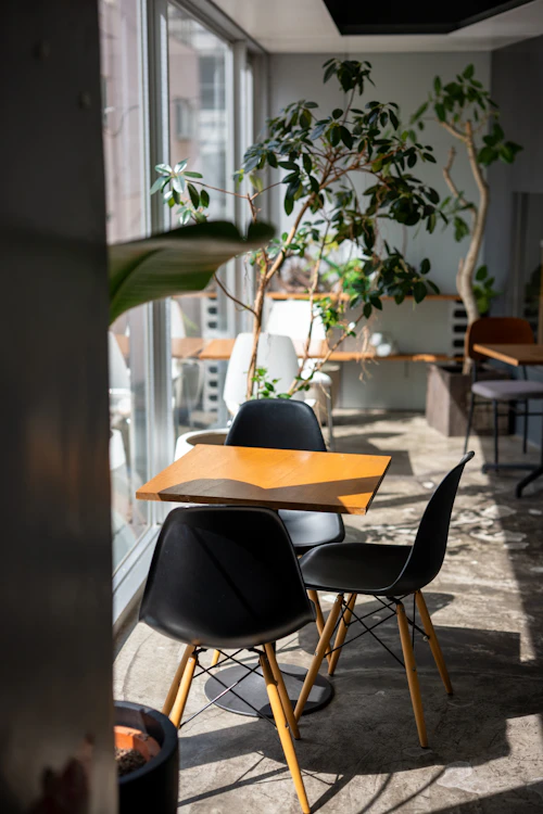 Bright café interior with plants
