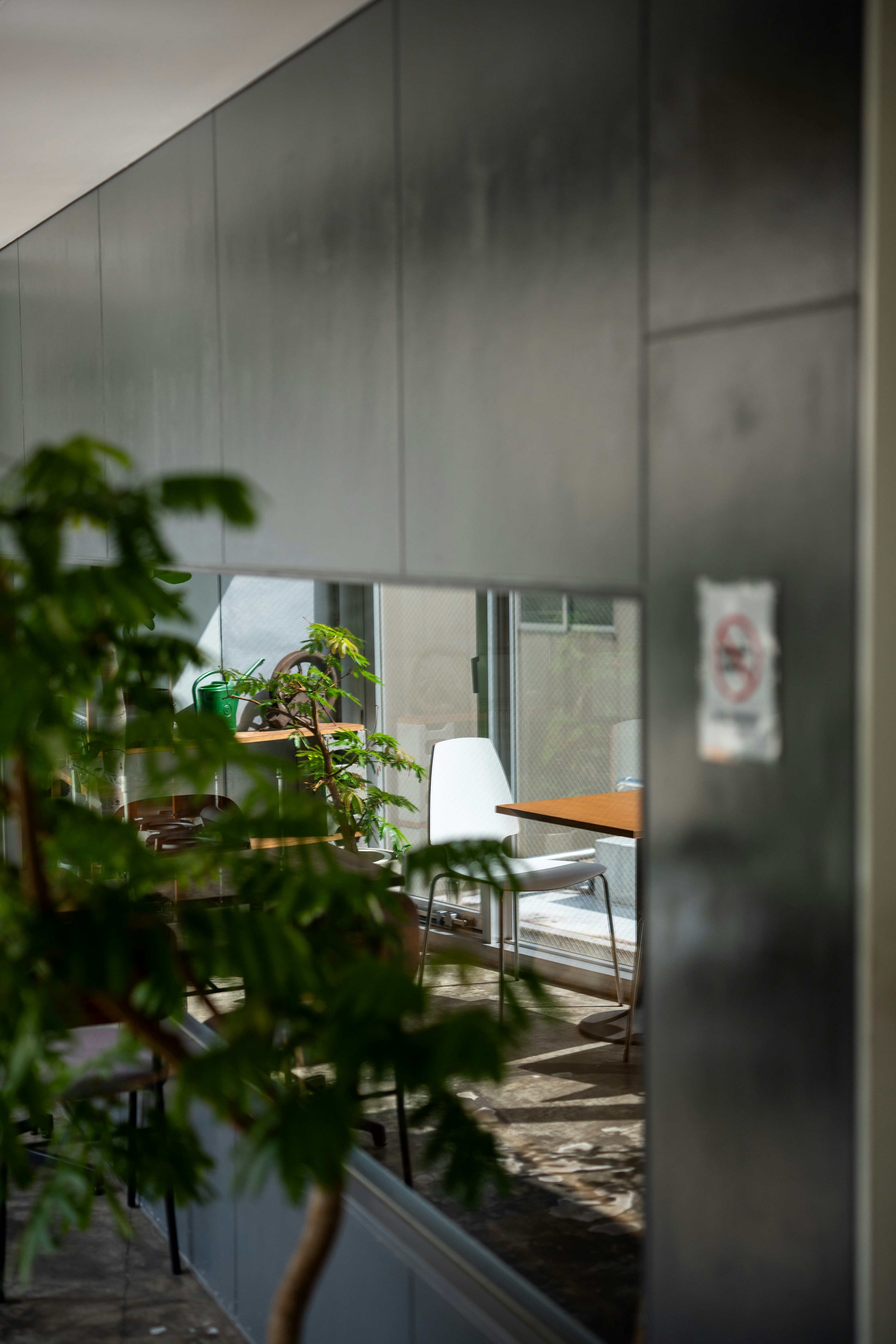 Modern office interior with reflective wall and plant.