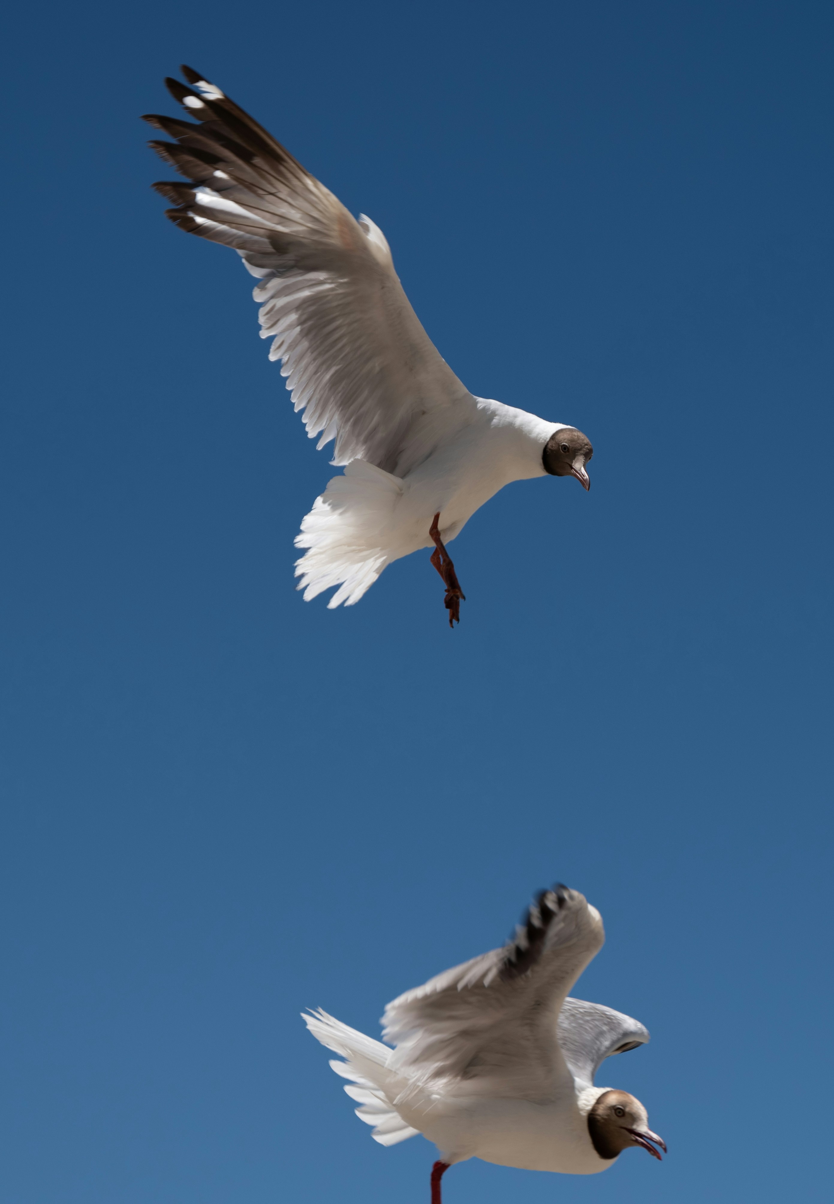 Photo by nikol_royce