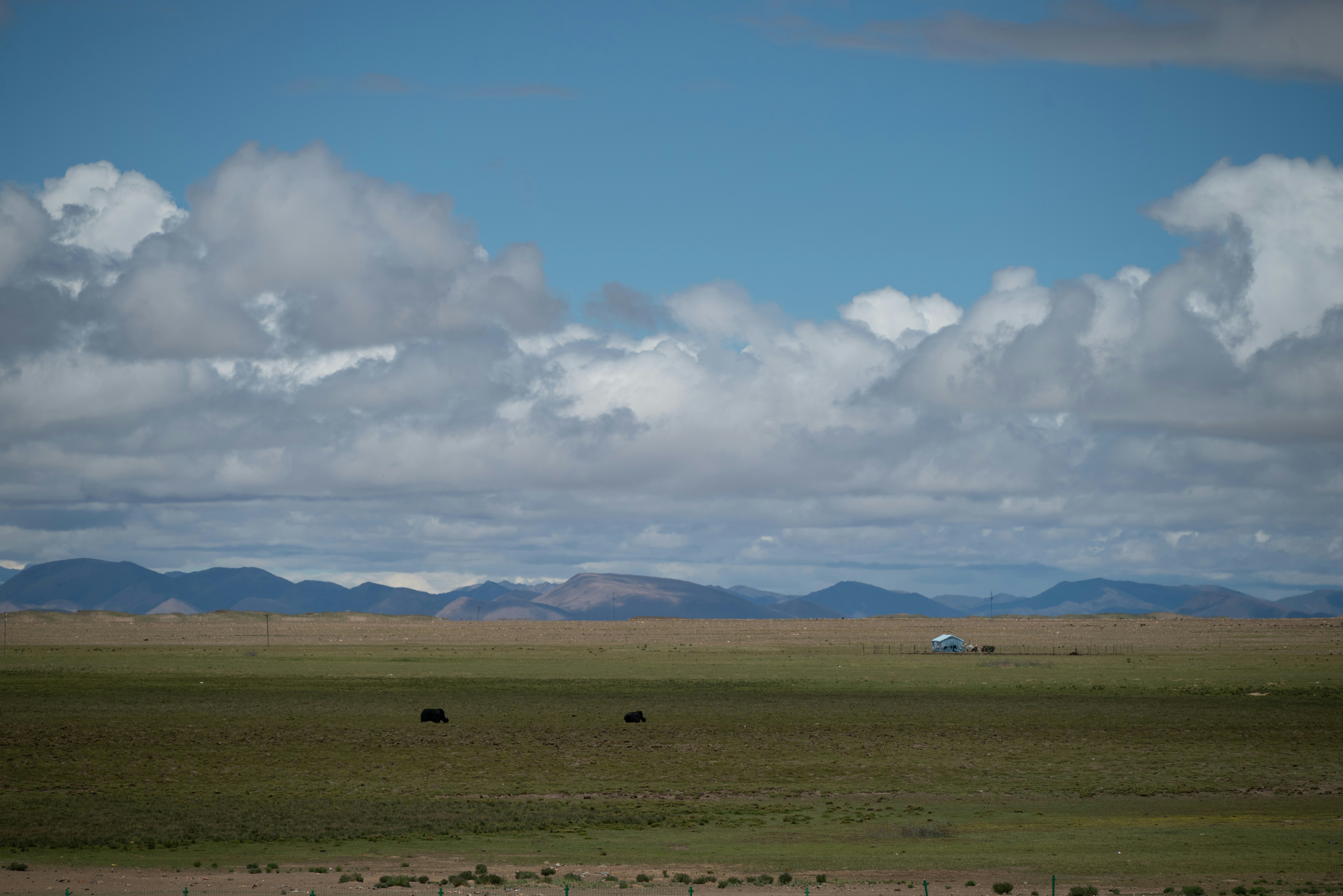 Photo by nikol_royce