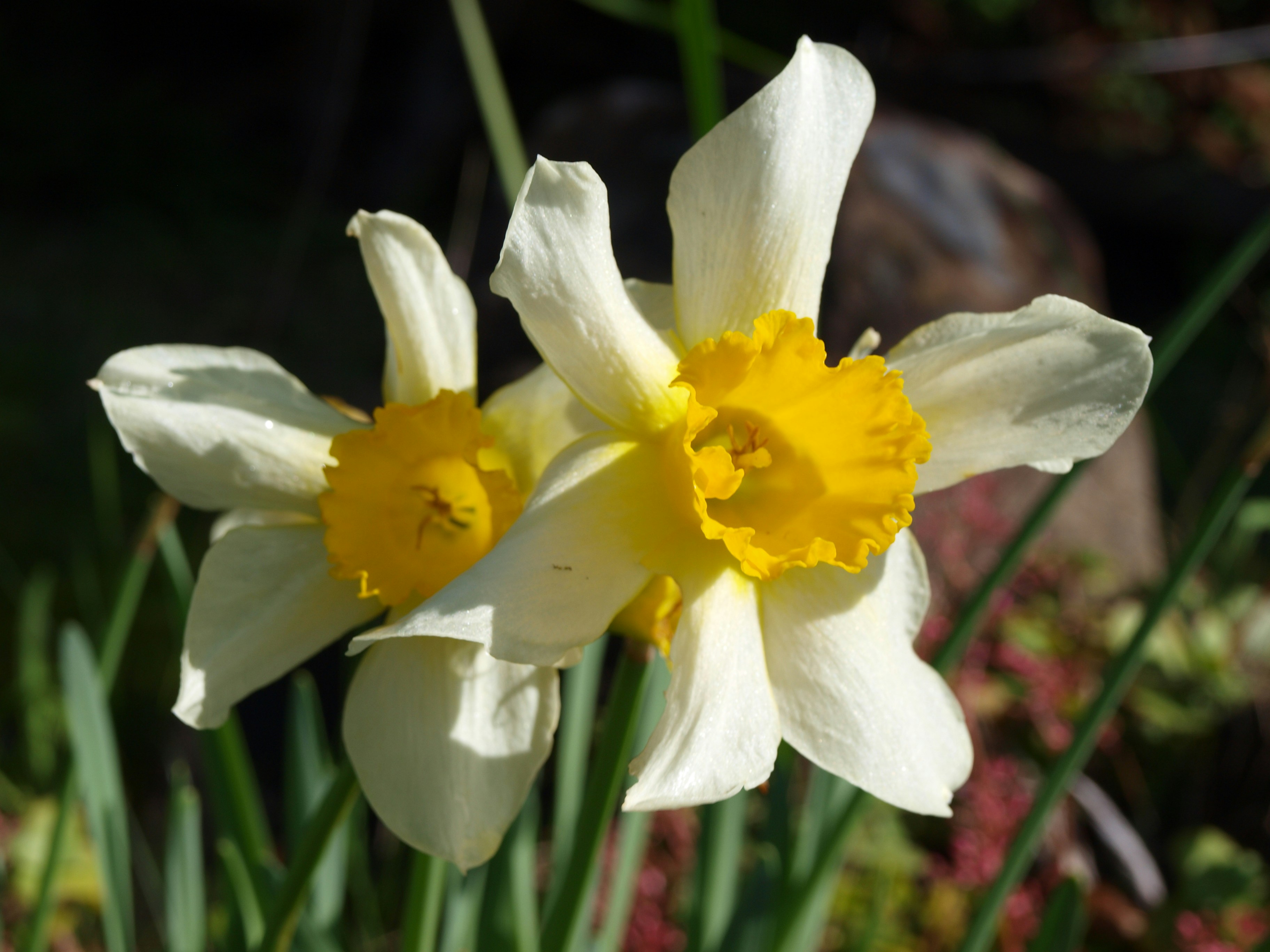 Photo by lutruwita_exposure