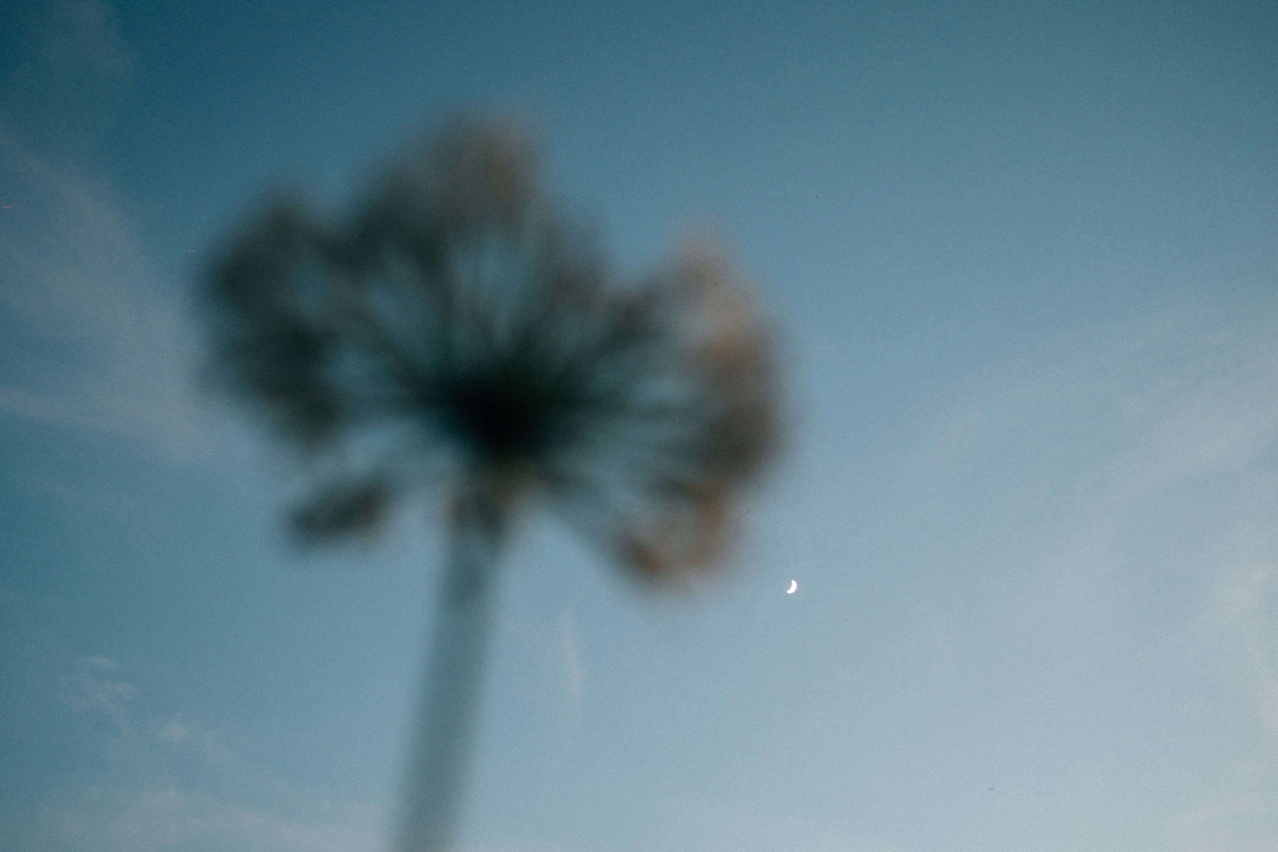 Photo by tsuyoshikozu