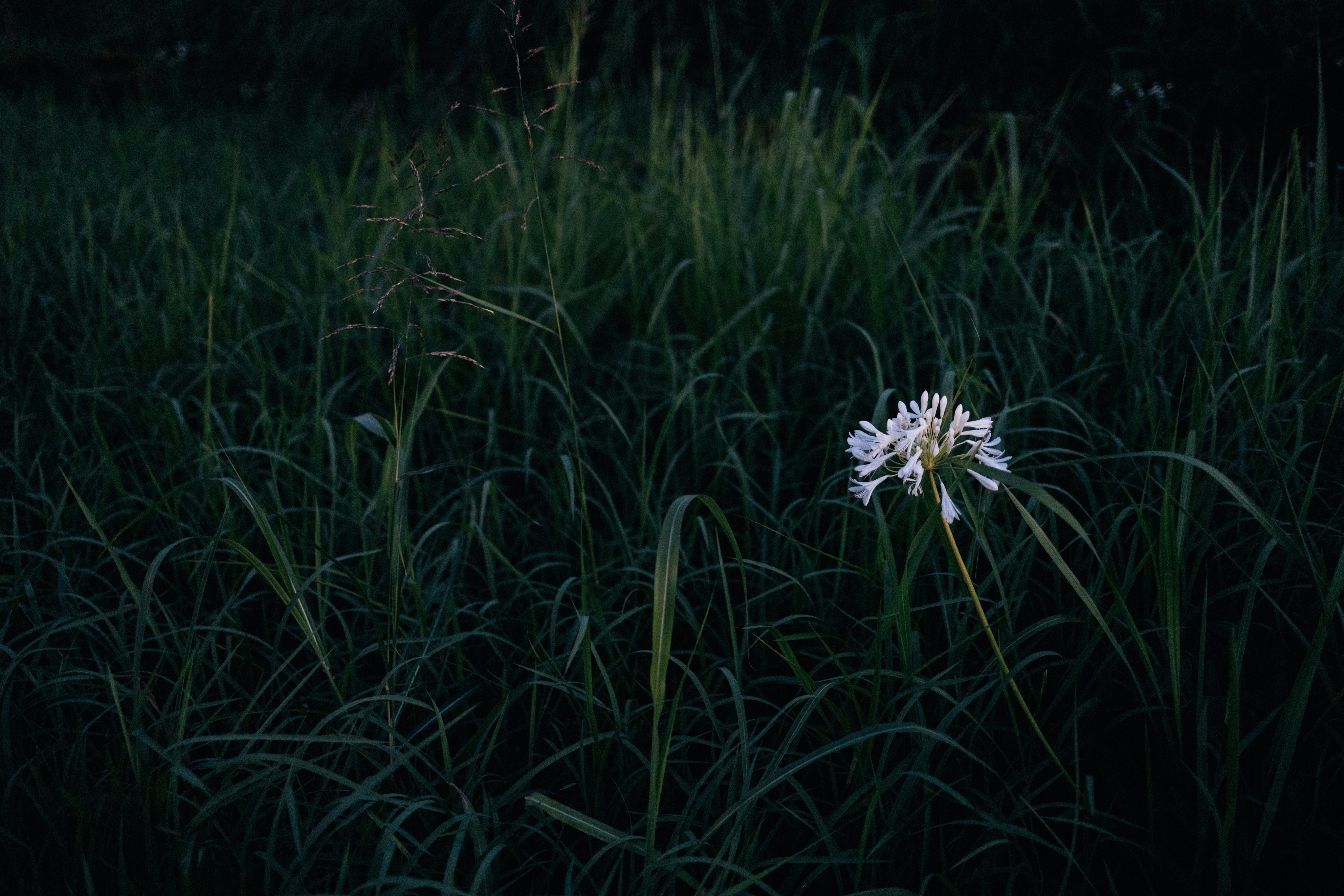 Photo by tsuyoshikozu