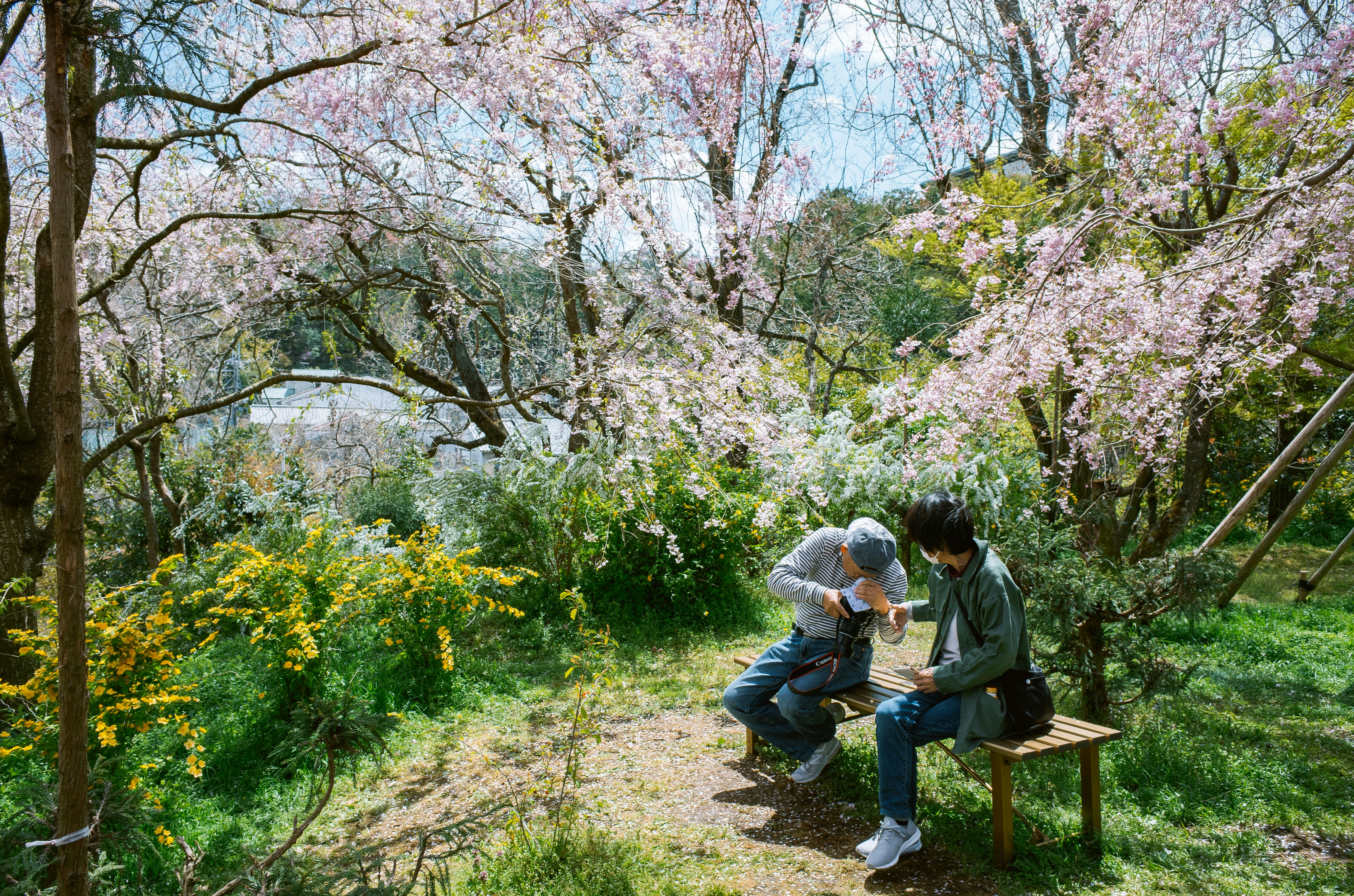 냉장고 문 열고 '내가 뭐 꺼내려고 했지?'... 치매 초기 증상일까? 관련 이미지