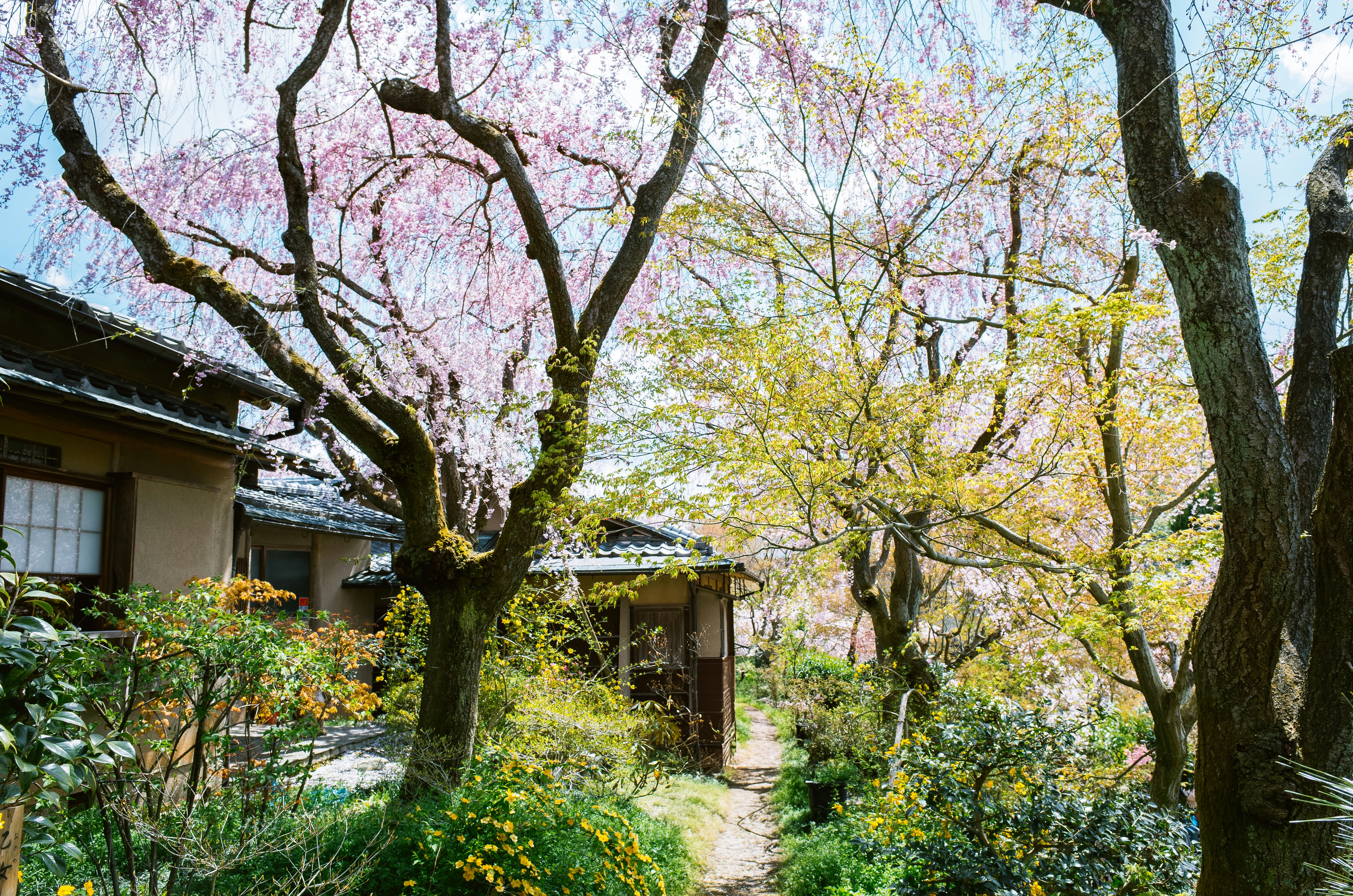 Photo by dokae
